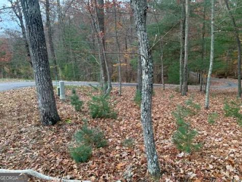 Lot 4 Courtney Lane Blairsville GA 30512