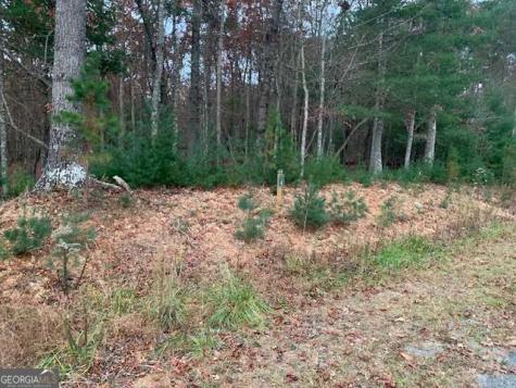 Lot 4 Courtney Lane Blairsville GA 30512