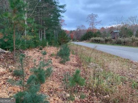 Lot 4 Courtney Lane Blairsville GA 30512