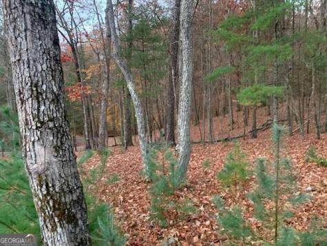 Lot 4 Courtney Lane Blairsville GA 30512