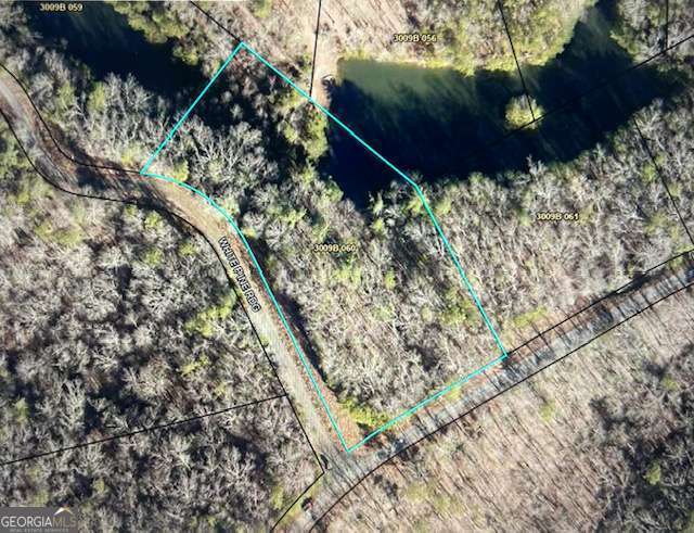 Lt 50 White Pine Ridge Ellijay GA 30540