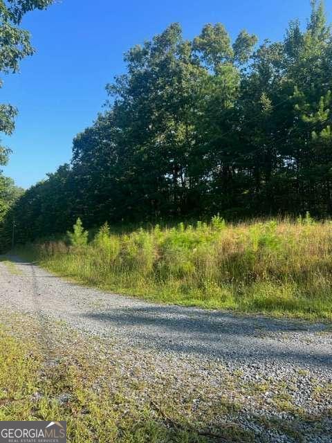 Lt 50 White Pine Ridge Ellijay GA 30540