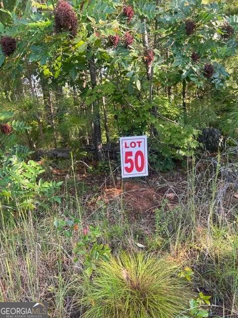 Lt 50 White Pine Ridge Ellijay GA 30540