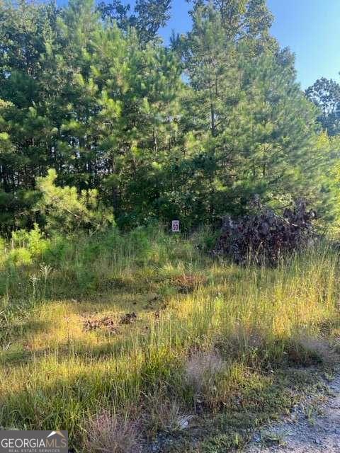 Lt 50 White Pine Ridge Ellijay GA 30540