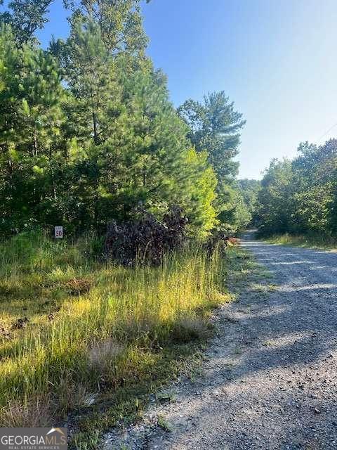 Lt 50 White Pine Ridge Ellijay GA 30540