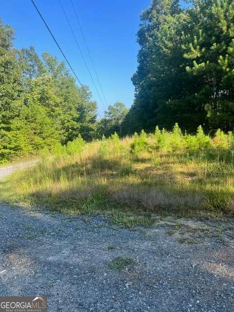 Lt 50 White Pine Ridge Ellijay GA 30540