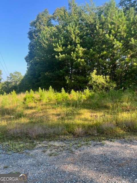 Lt 50 White Pine Ridge Ellijay GA 30540