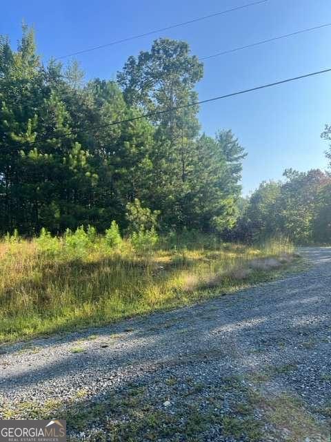 Lt 50 White Pine Ridge Ellijay GA 30540