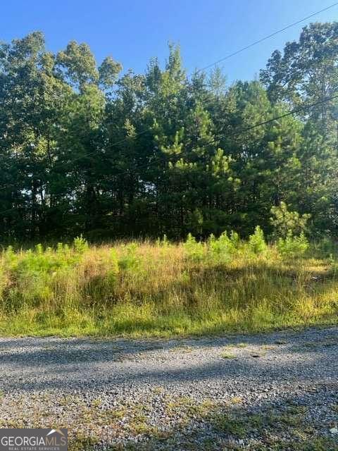 Lt 50 White Pine Ridge Ellijay GA 30540