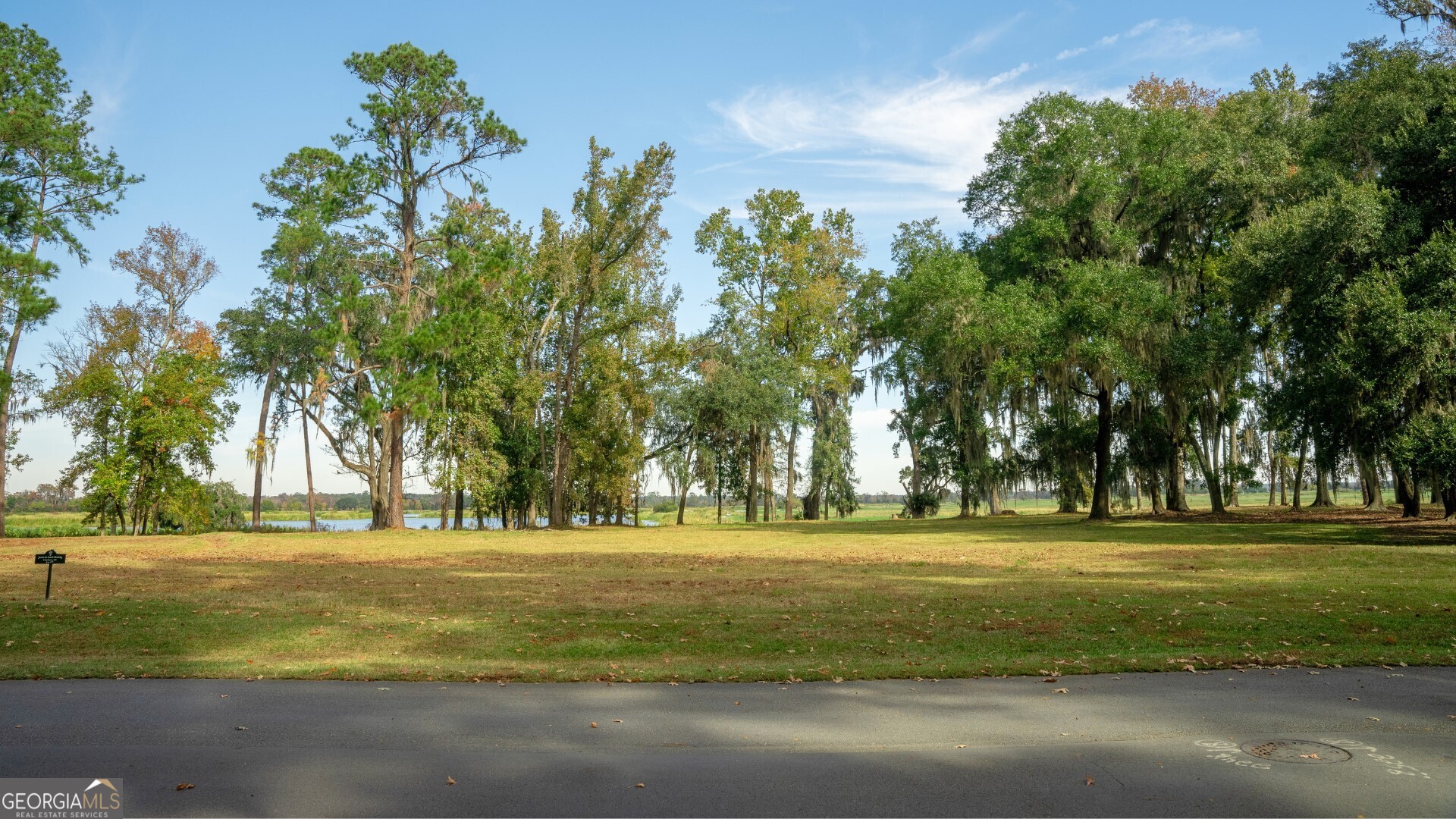 166 Little Lulu Lane Richmond Hill GA 31324