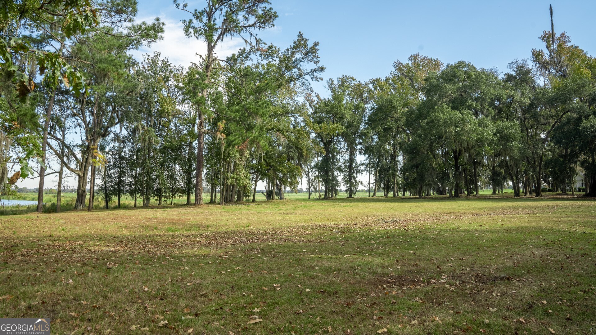 166 Little Lulu Lane Richmond Hill GA 31324