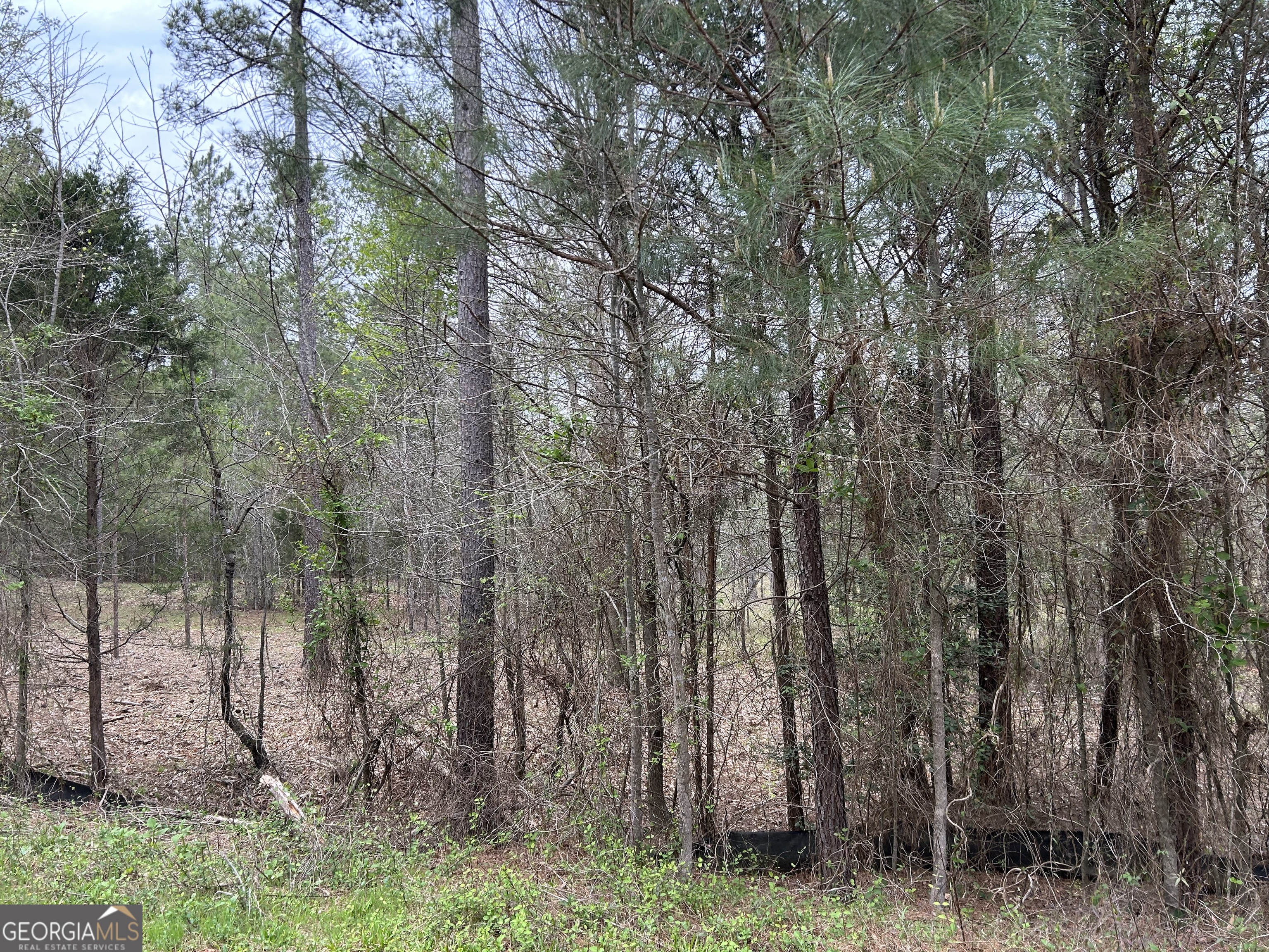 02 Hornets Bridge Drive Elberton GA 30635