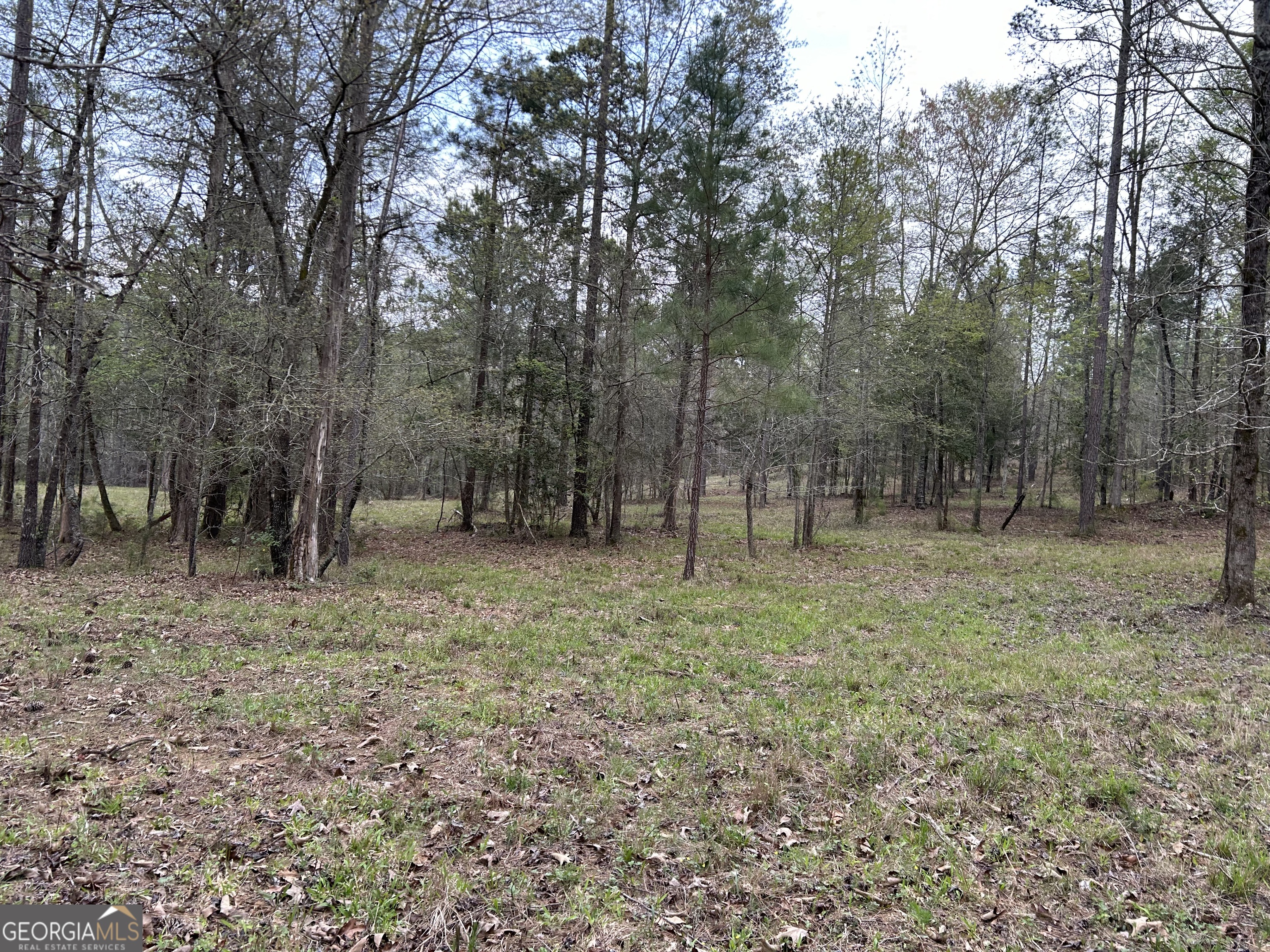 02 Hornets Bridge Drive Elberton GA 30635