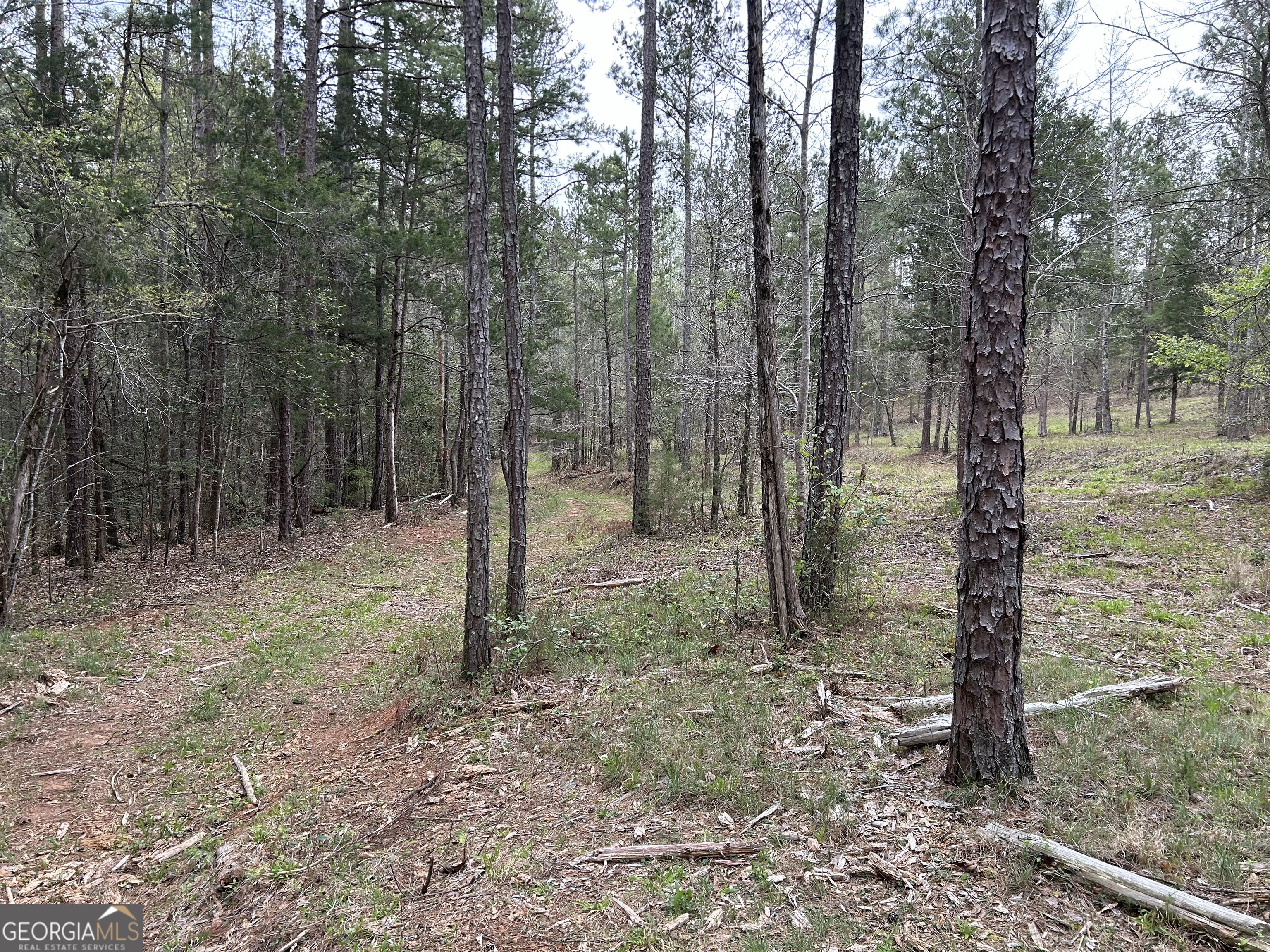 02 Hornets Bridge Drive Elberton GA 30635