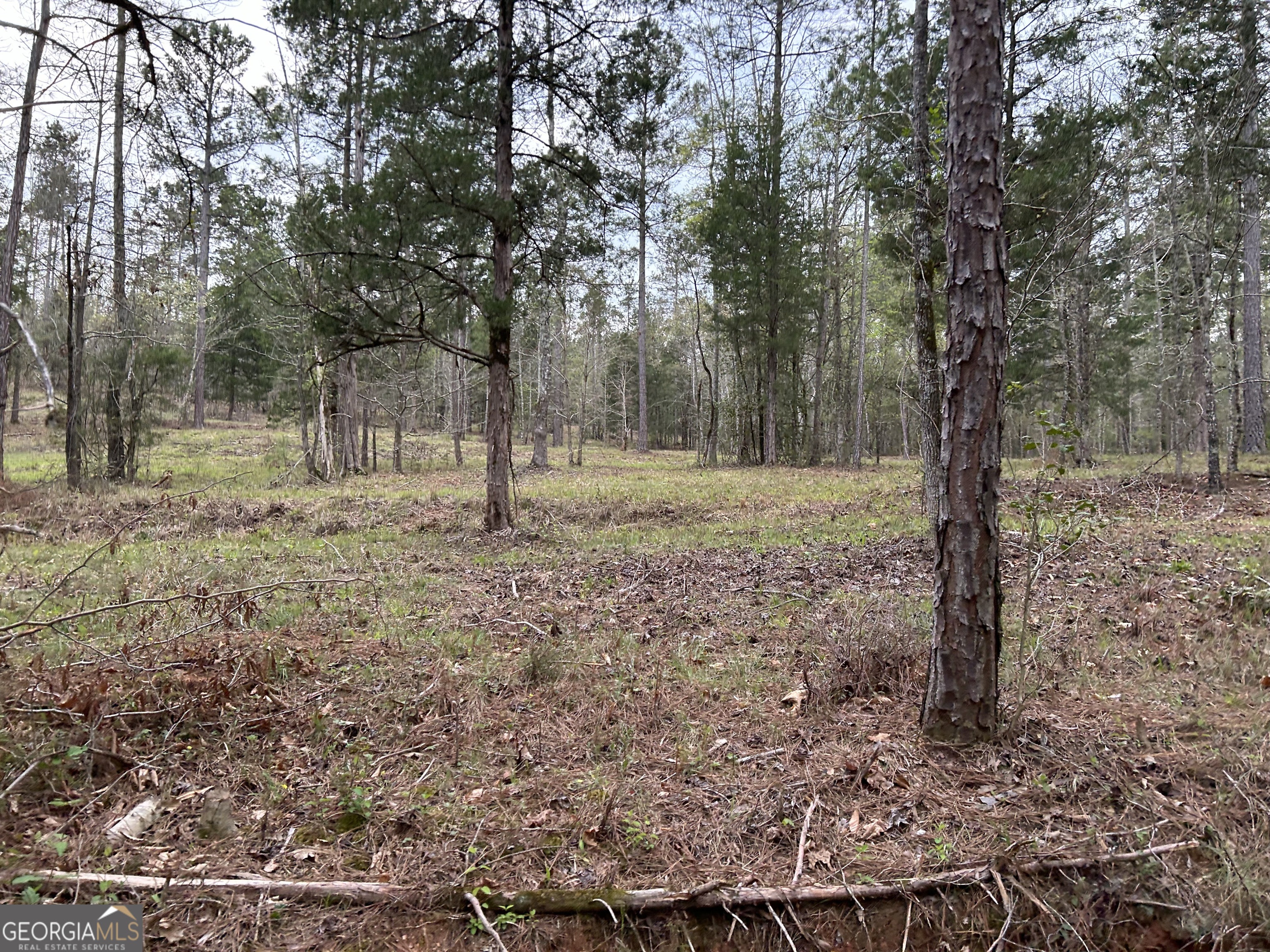 02 Hornets Bridge Drive Elberton GA 30635