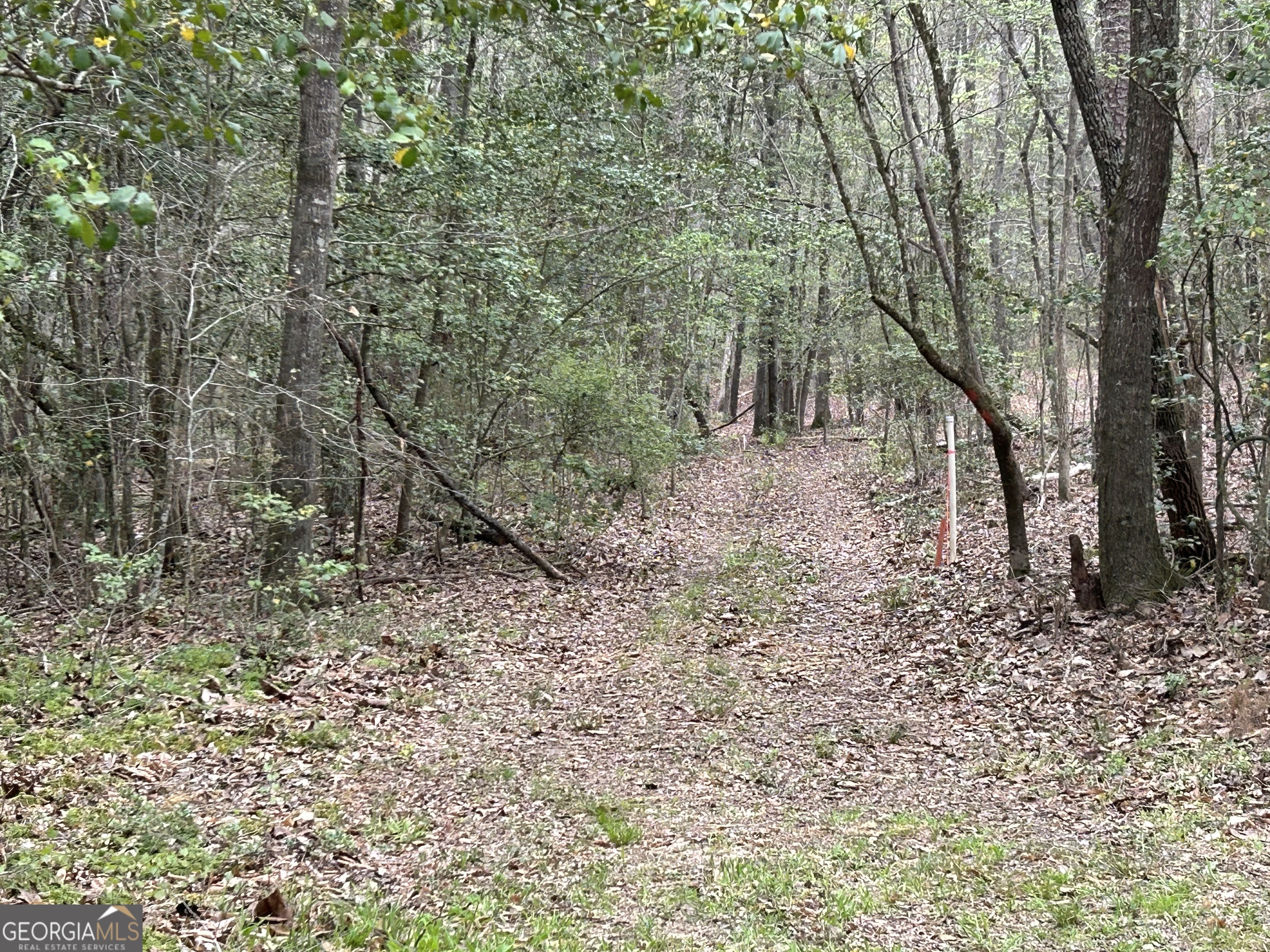 02 Hornets Bridge Drive Elberton GA 30635