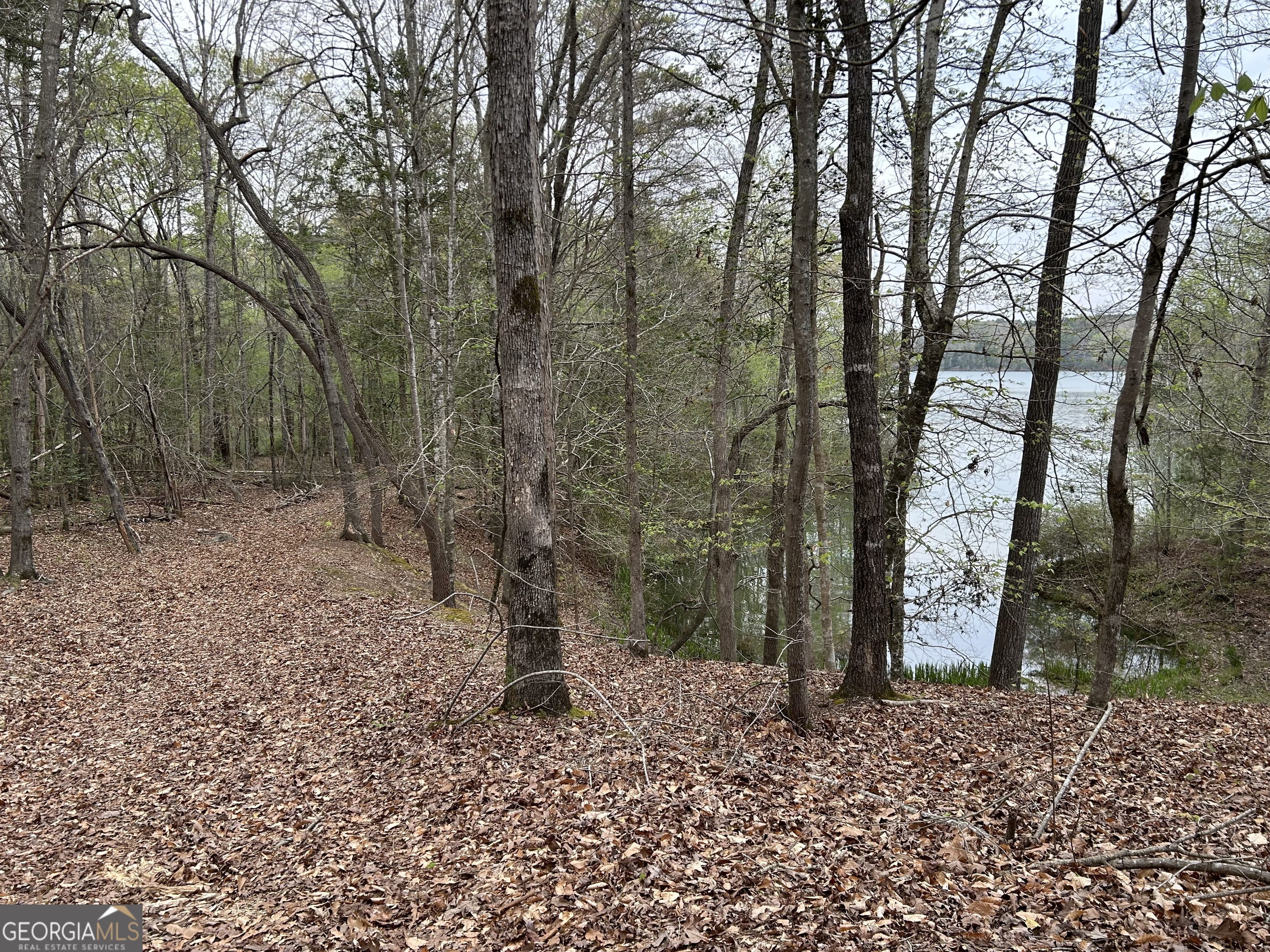 02 Hornets Bridge Drive Elberton GA 30635