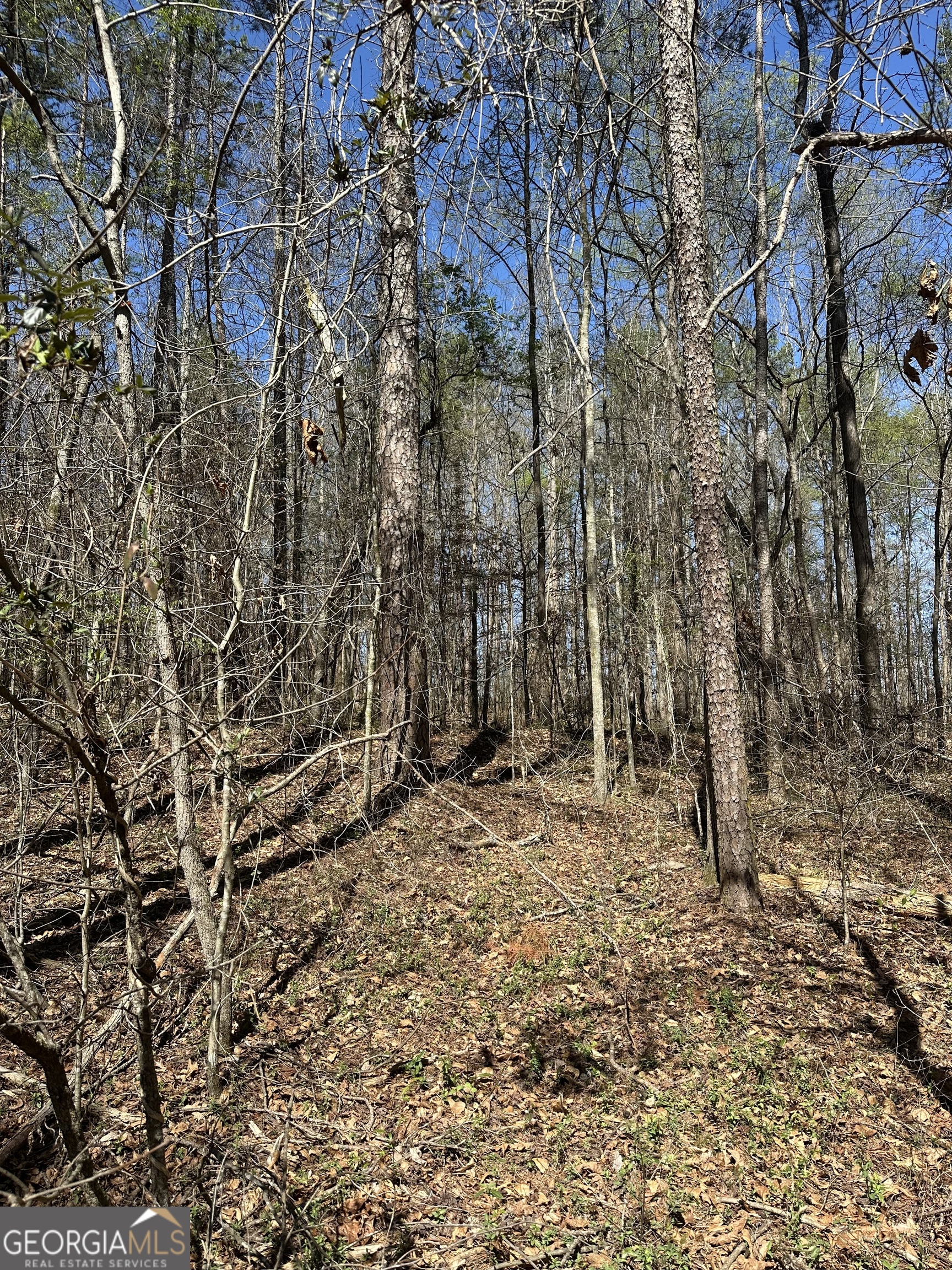 0 Poplar Mountain Lane Carnesville GA 30521