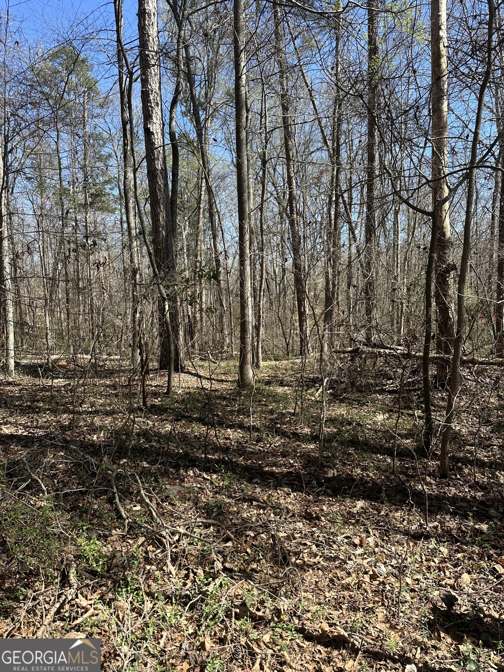 0 Poplar Mountain Lane Carnesville GA 30521