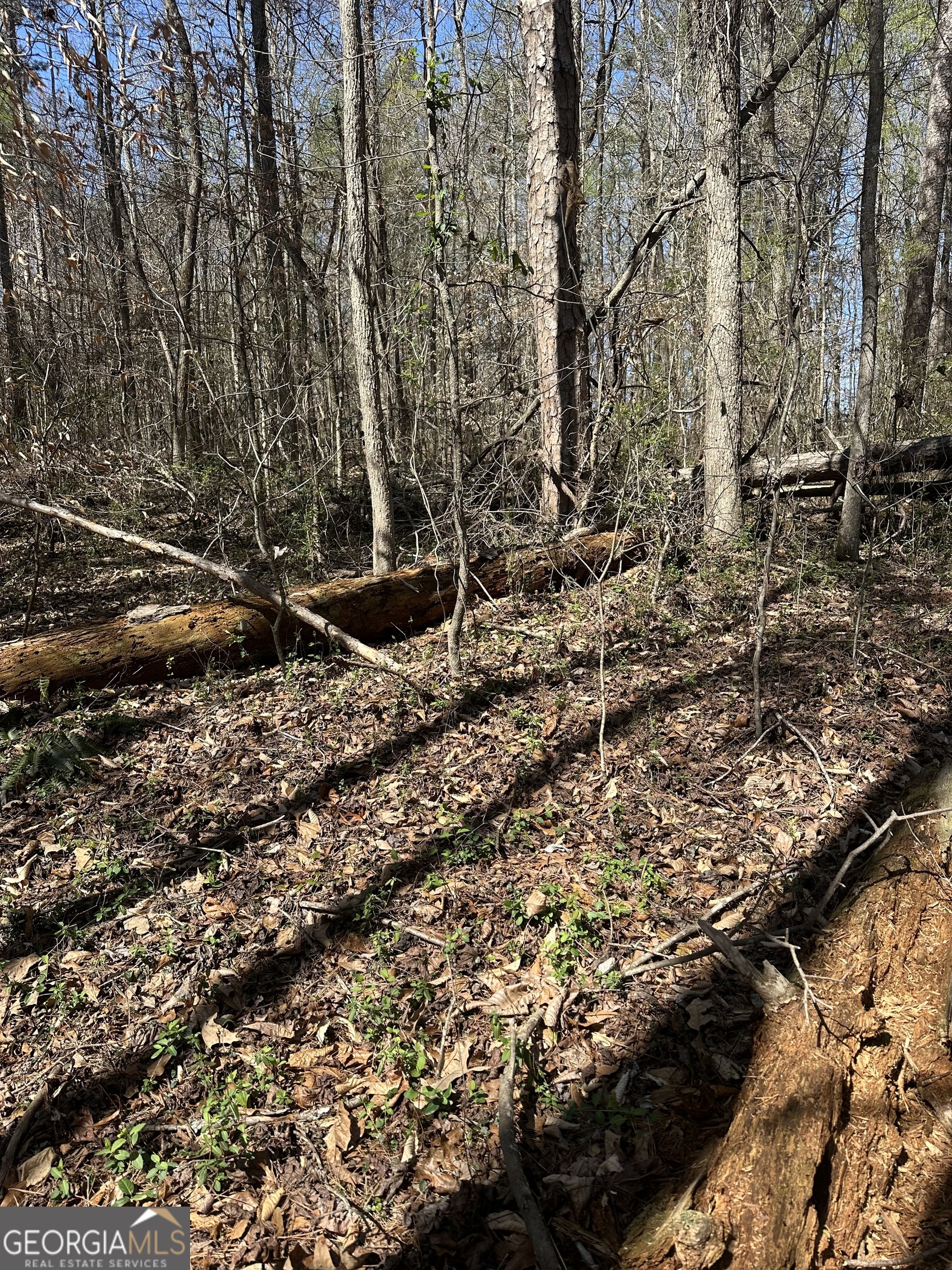 0 Poplar Mountain Lane Carnesville GA 30521