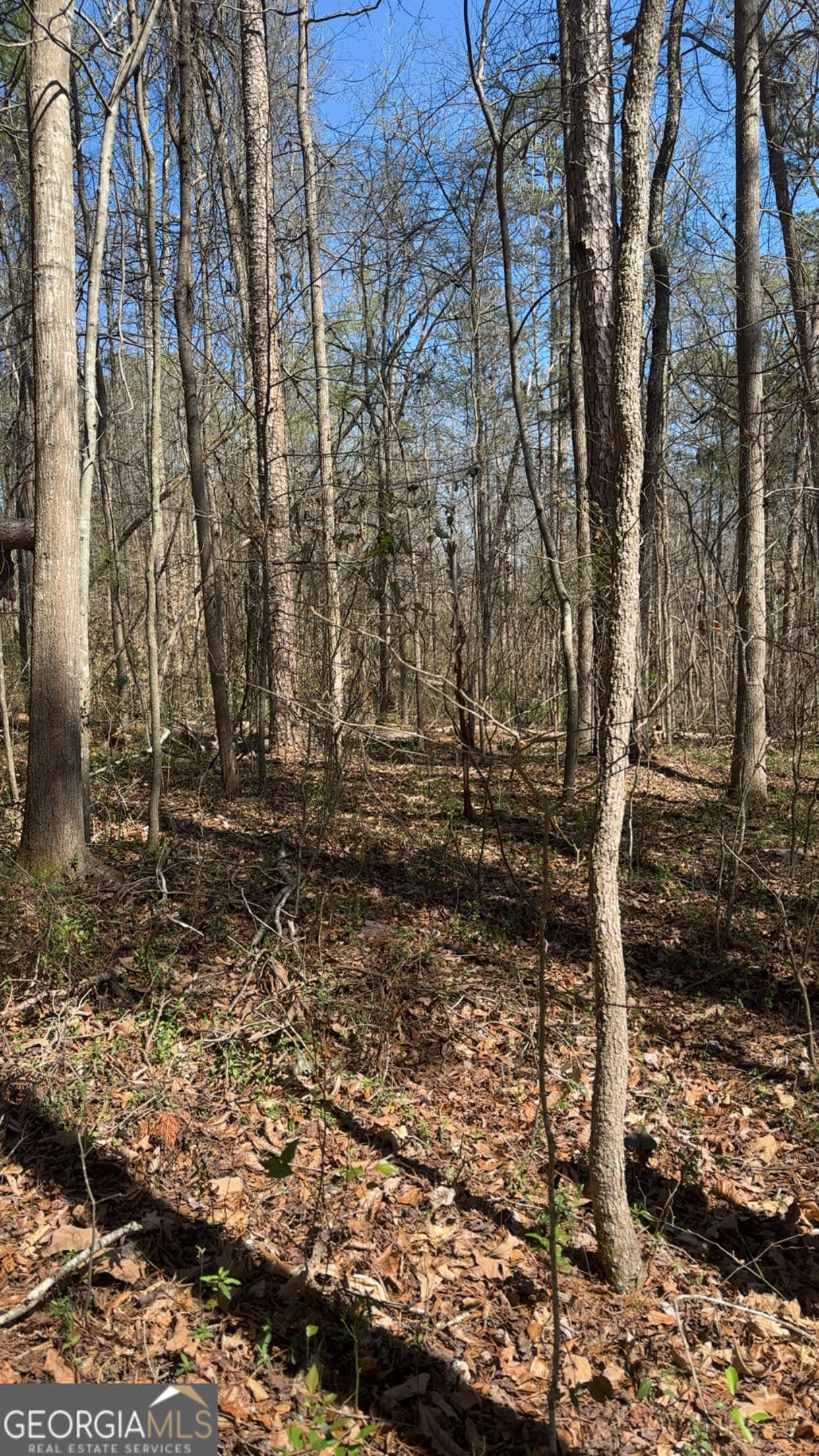 0 Poplar Mountain Lane Carnesville GA 30521