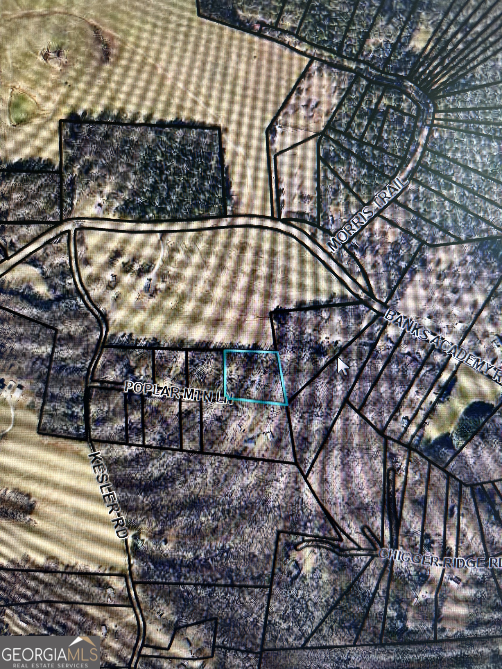 0 Poplar Mountain Lane Carnesville GA 30521