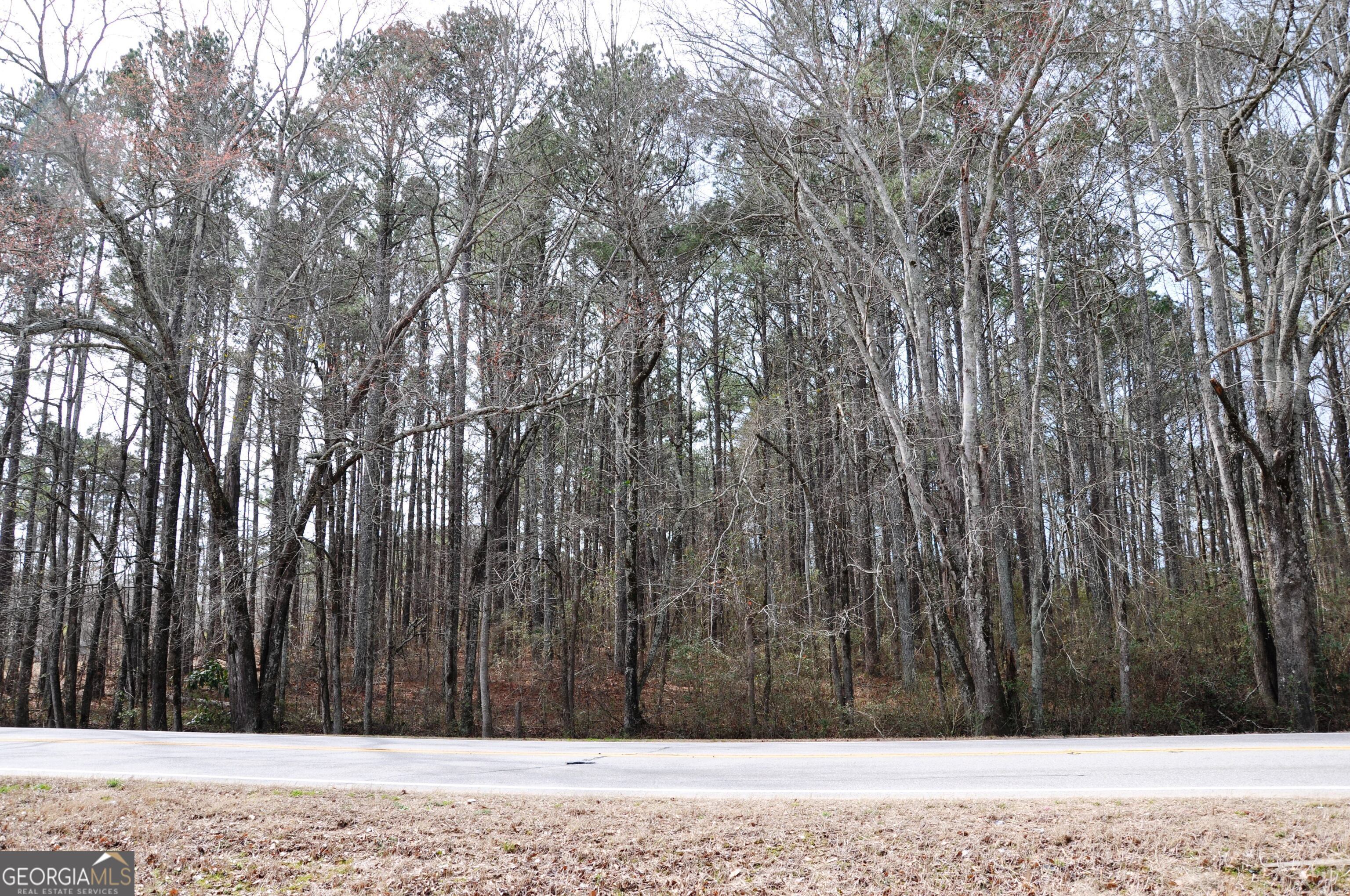 0 Monroe Highway Bethlehem GA 30620