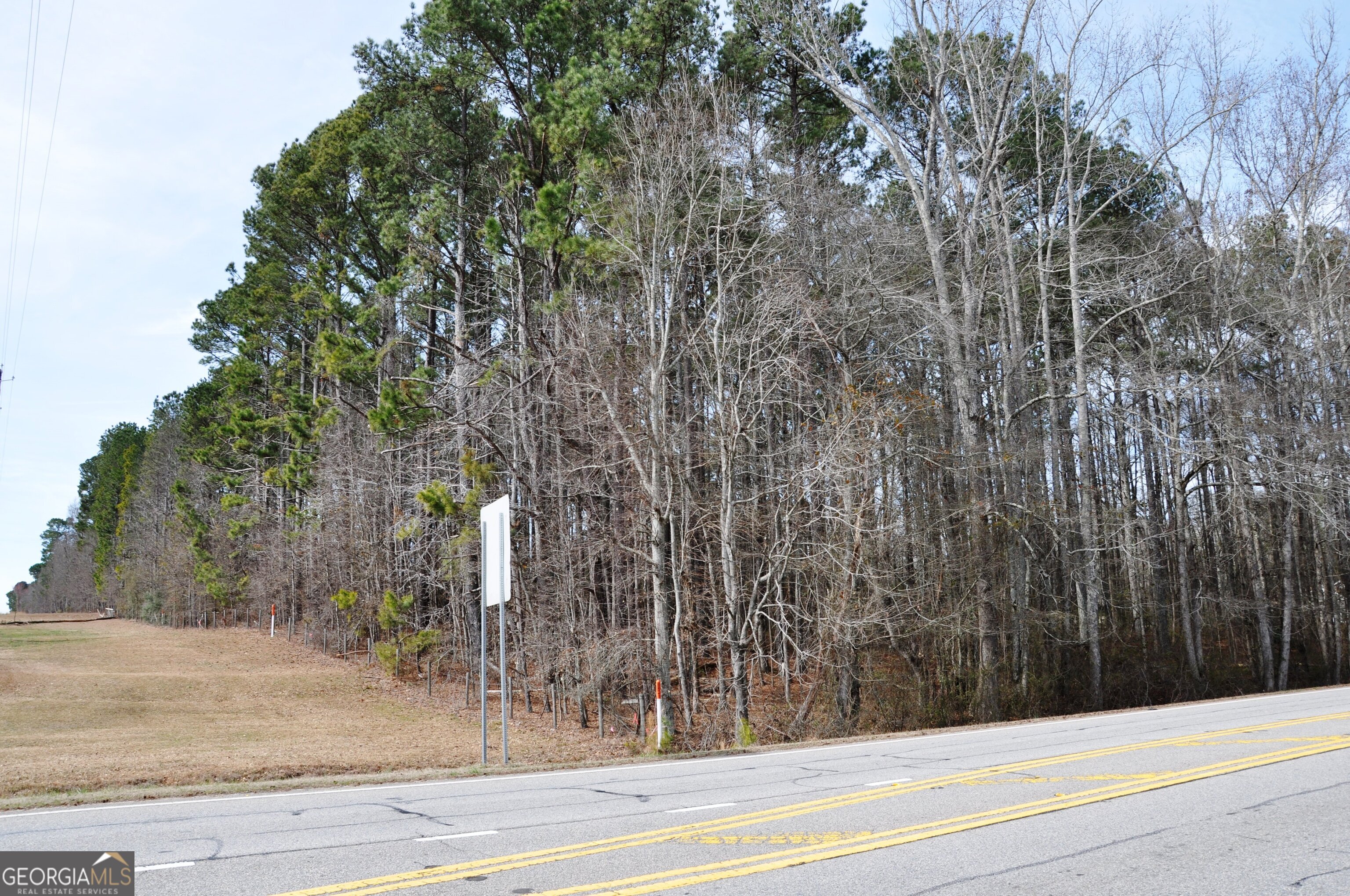 0 Monroe Highway Bethlehem GA 30620