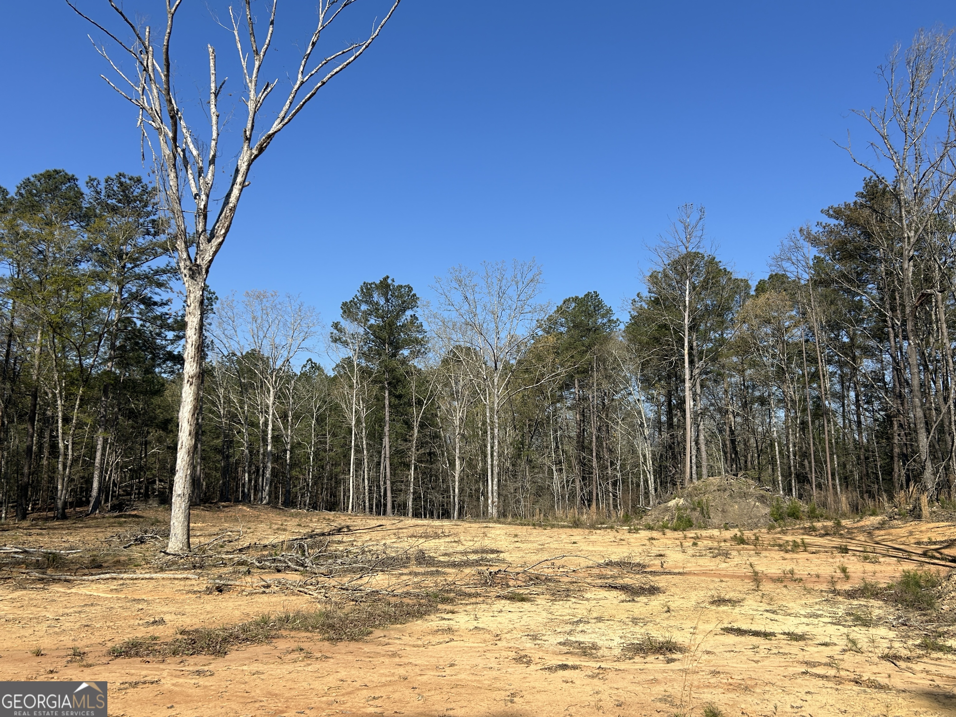 1251 Adams Road Union Point GA 30669