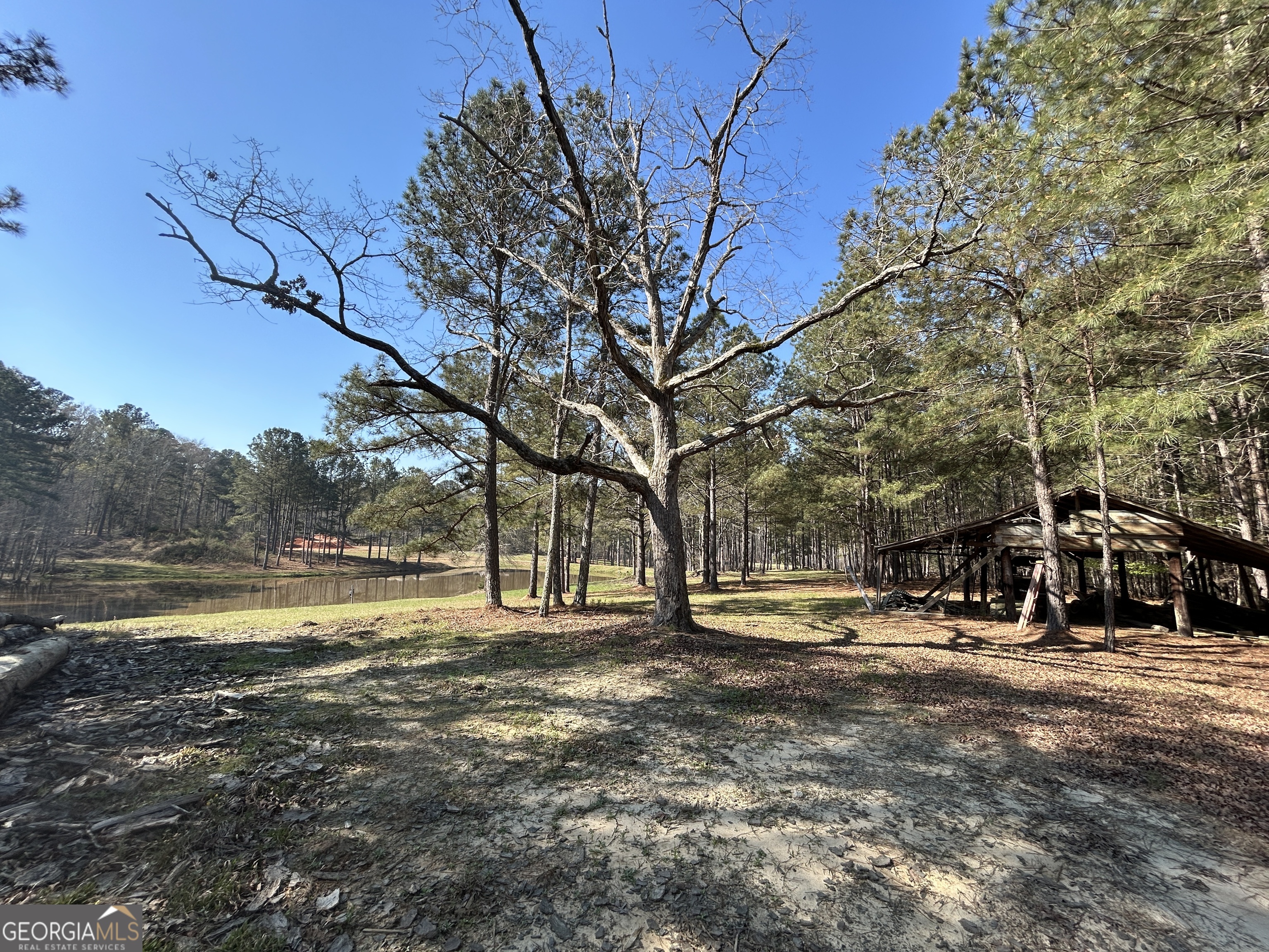 1251 Adams Road Union Point GA 30669