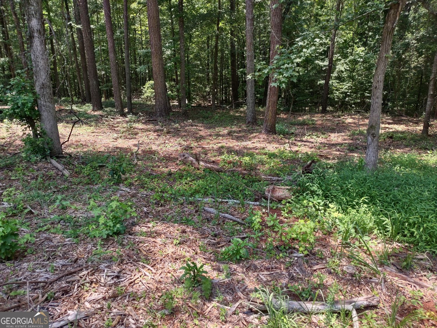 0 Panhandle Road Hampton GA 30228