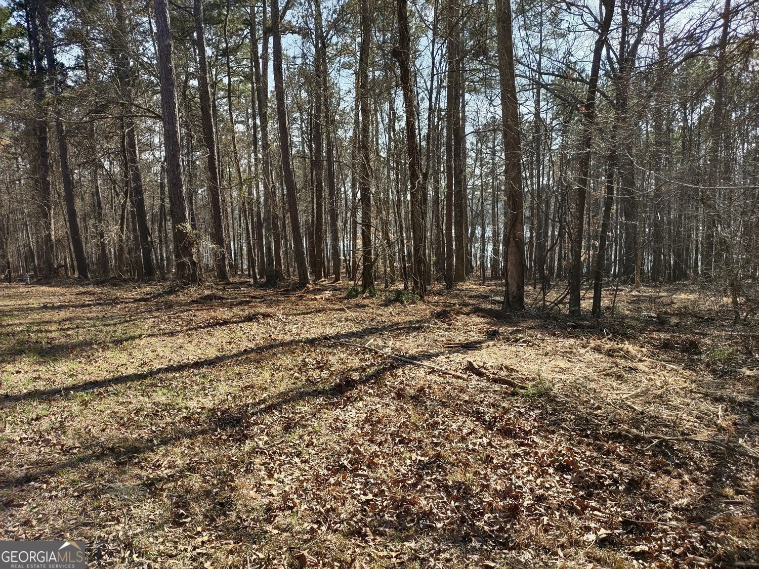 0 Panhandle Road Hampton GA 30228