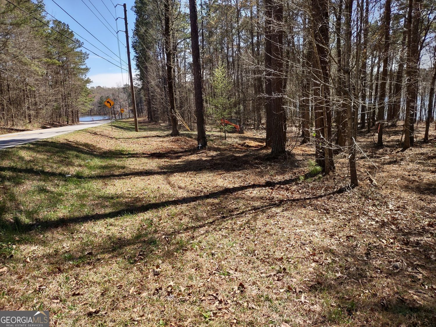 0 Panhandle Road Hampton GA 30228