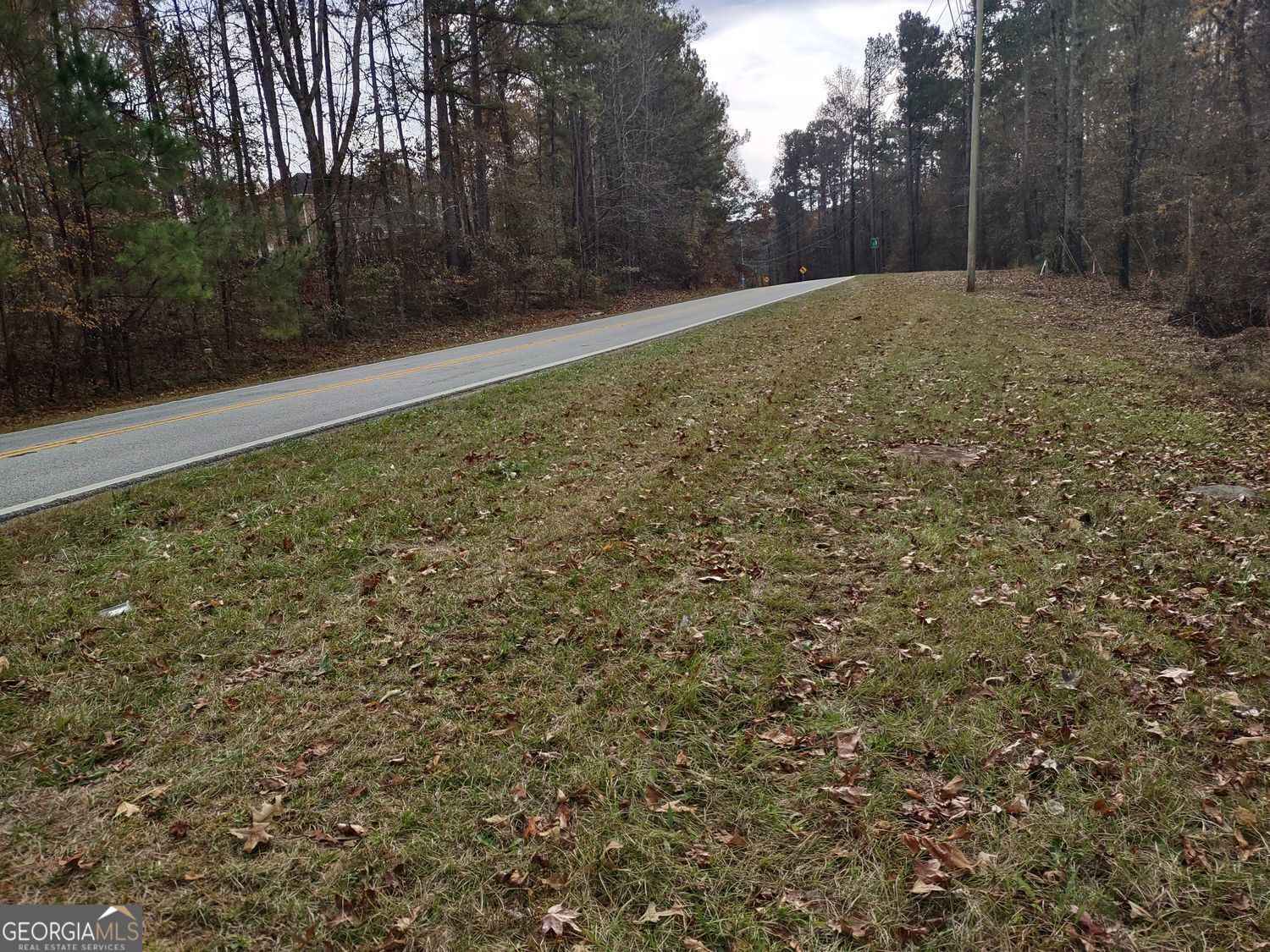 0 Panhandle Road Hampton GA 30228
