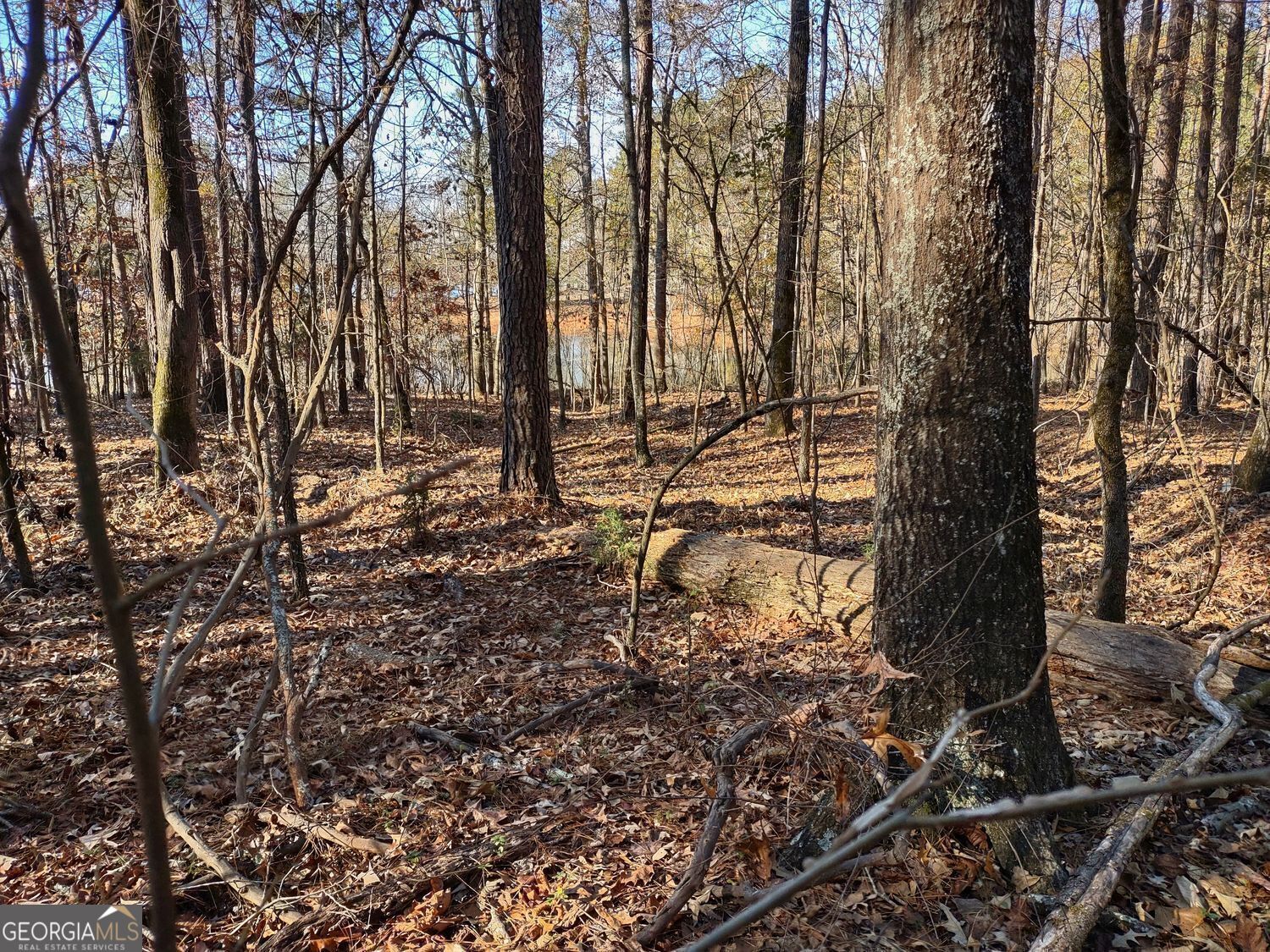 0 Panhandle Road Hampton GA 30228