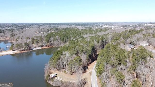 0 Panhandle Road Hampton GA 30228
