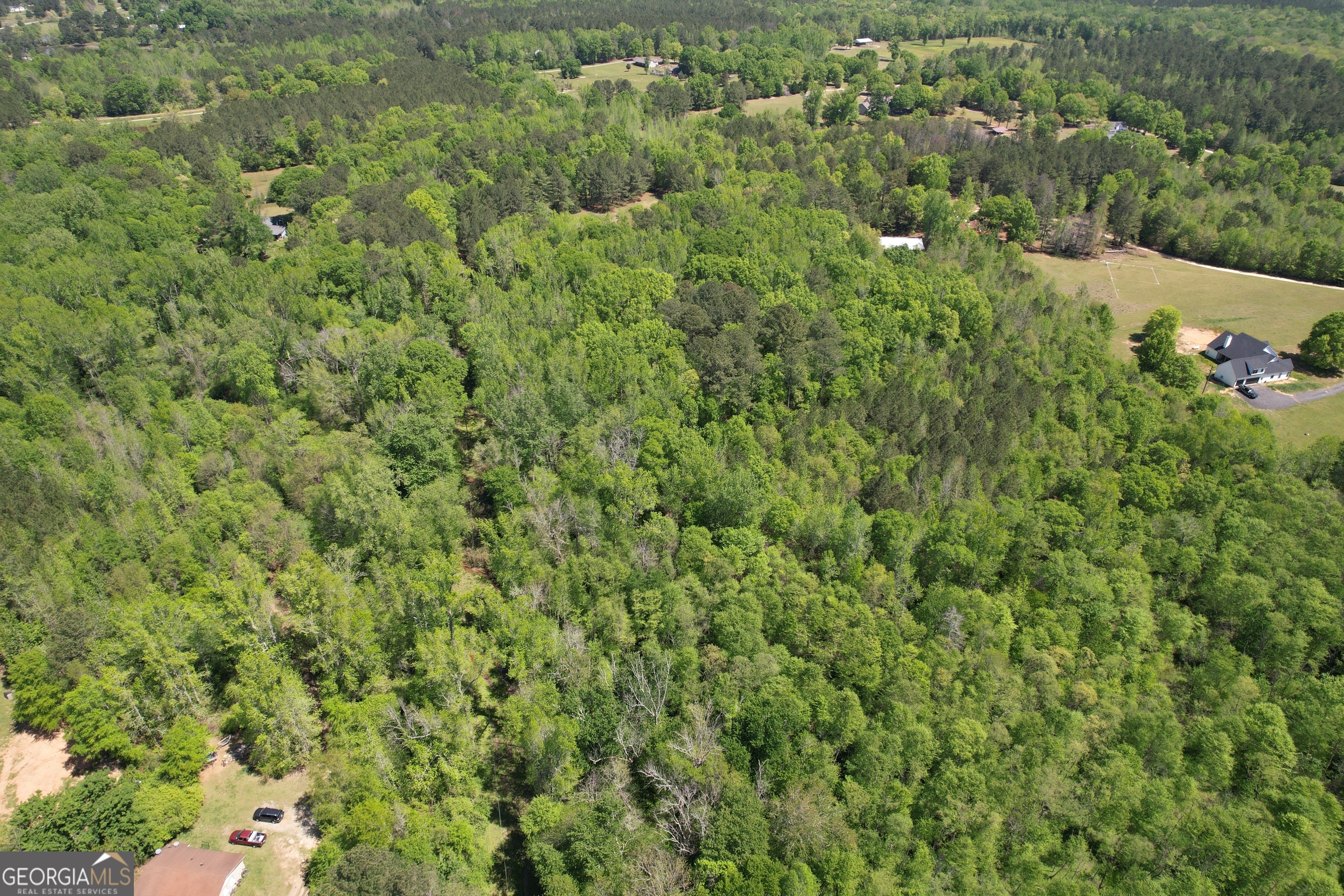 2310 Hollonville Williamson GA 30292