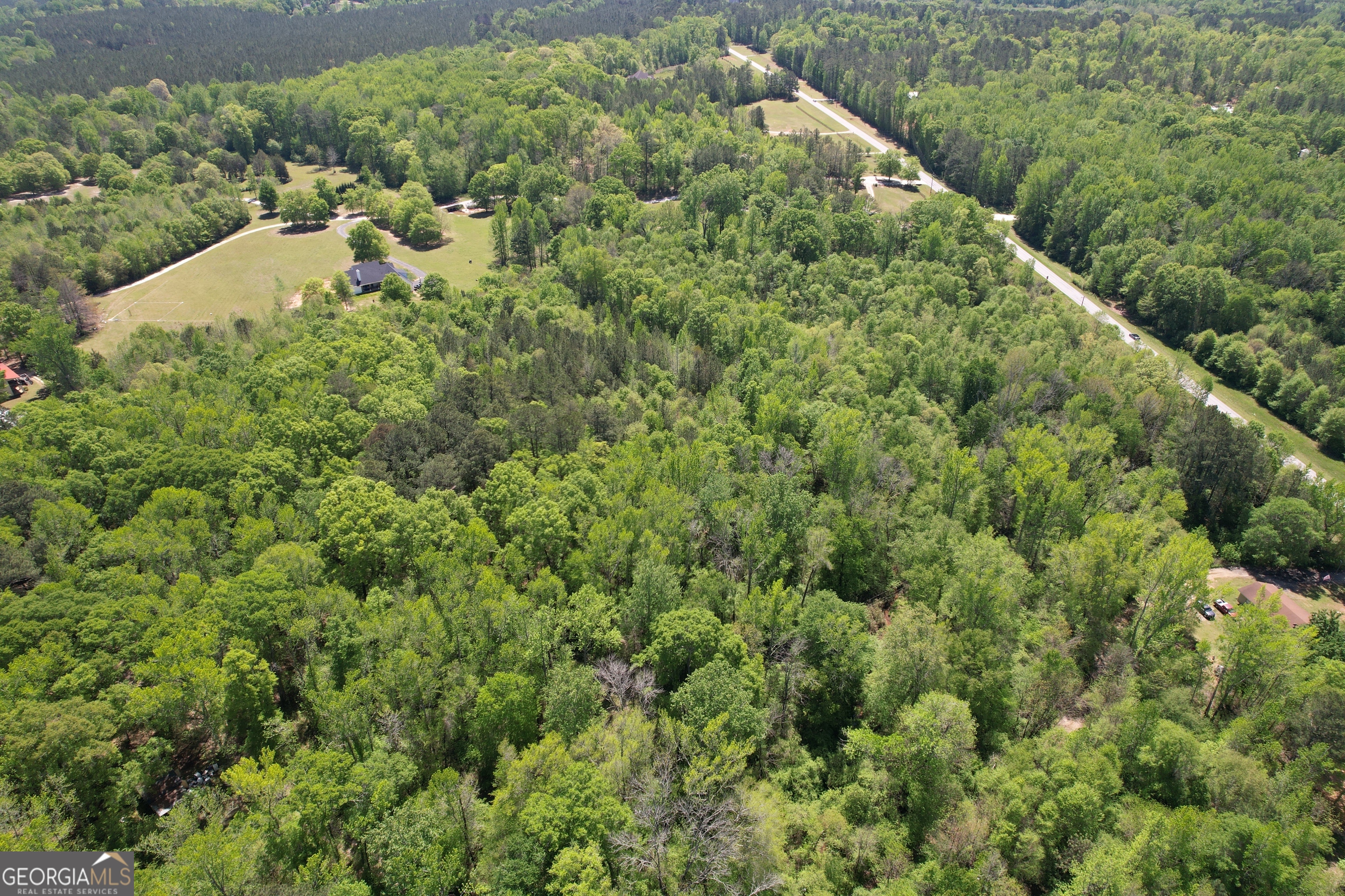 2310 Hollonville Williamson GA 30292