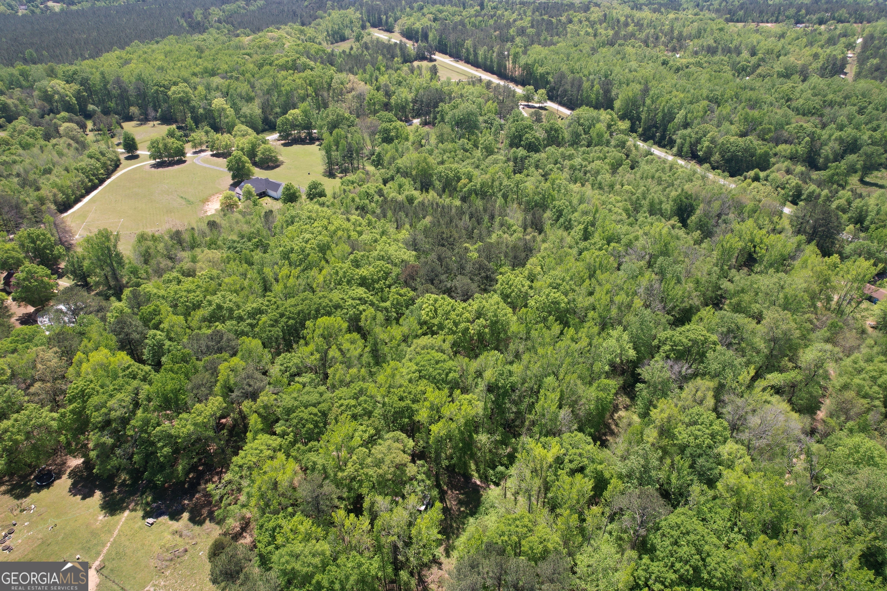2310 Hollonville Williamson GA 30292