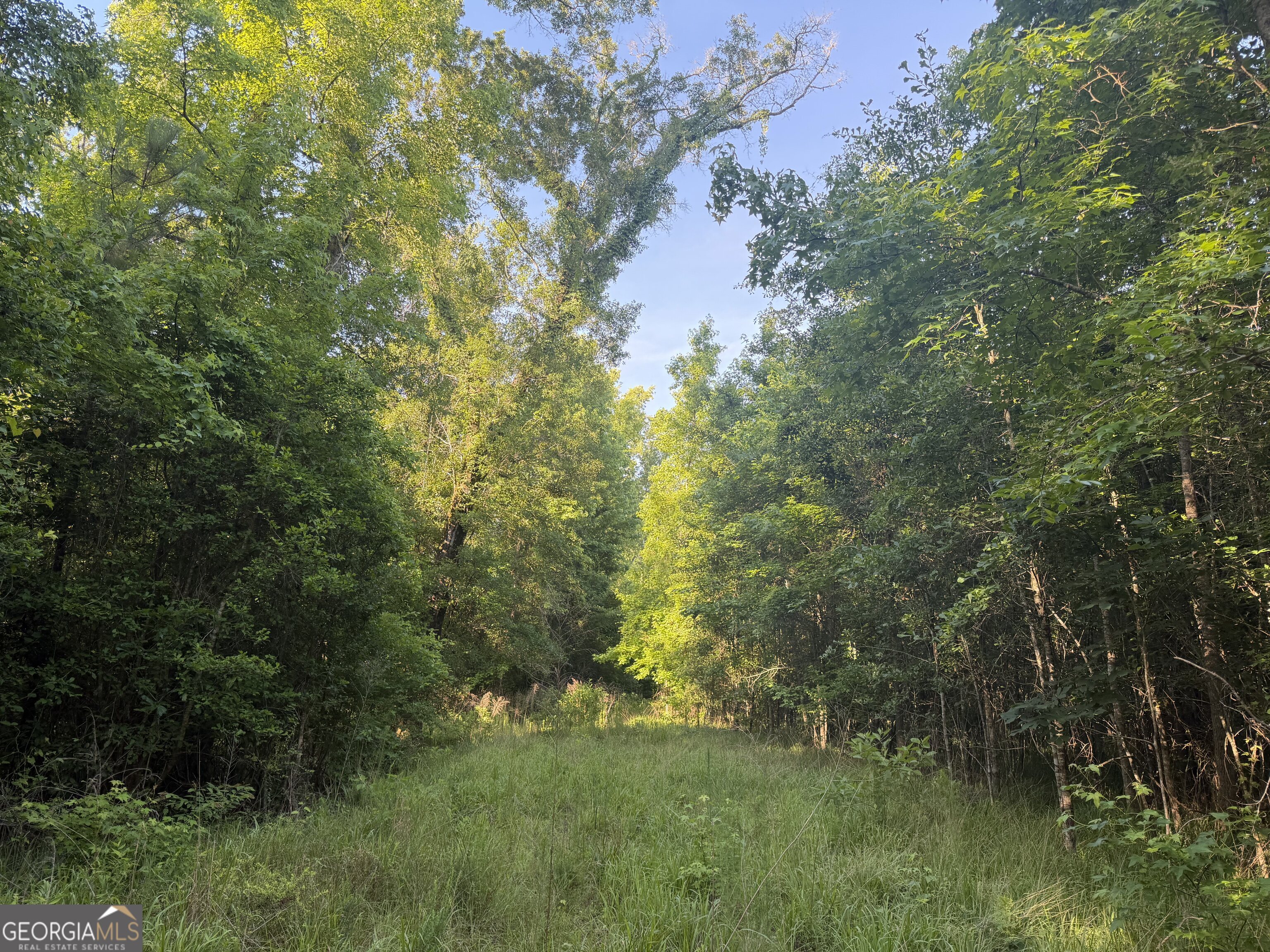 0 Branan Road Toomsboro GA 31090