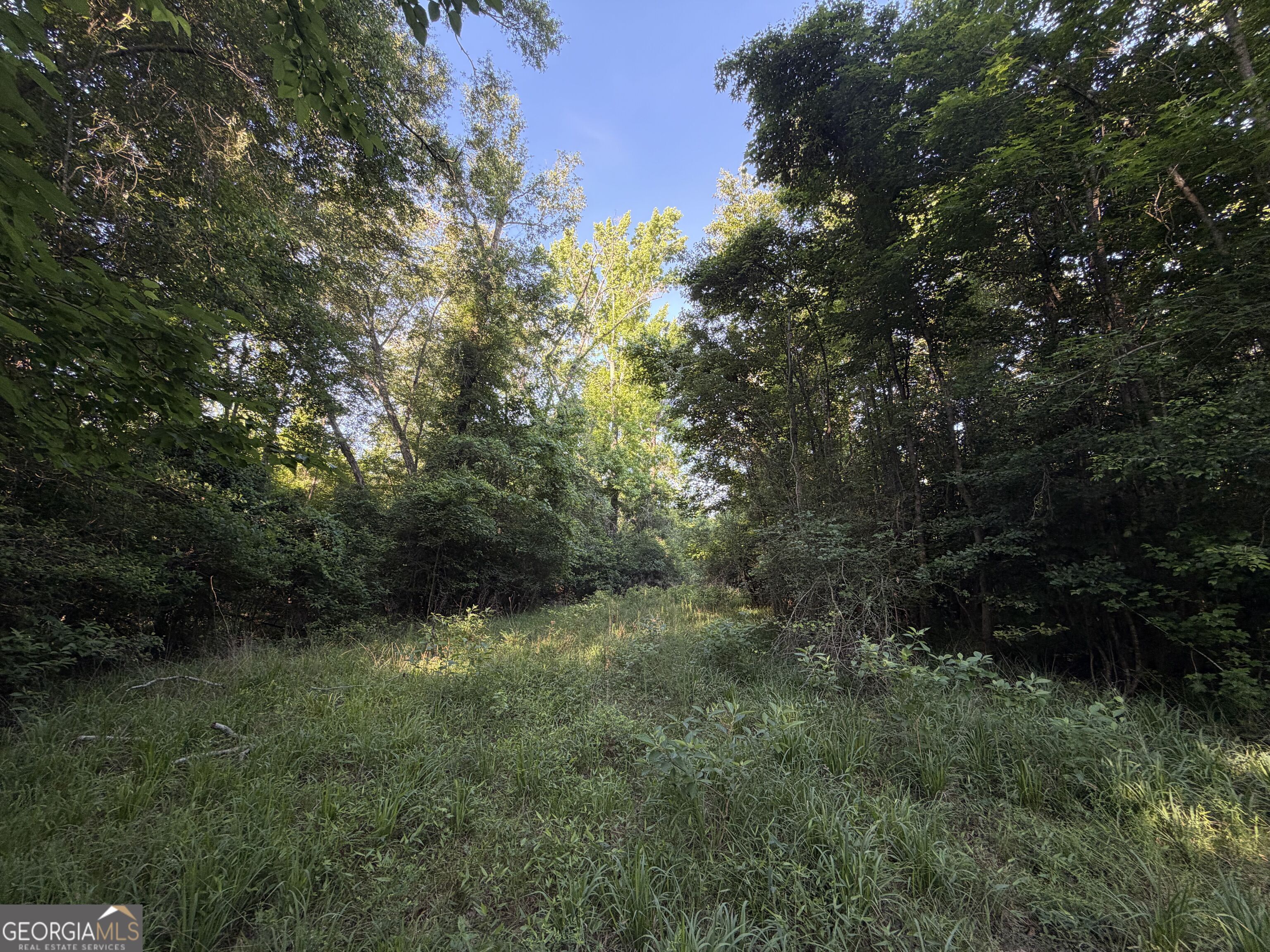 0 Branan Road Toomsboro GA 31090