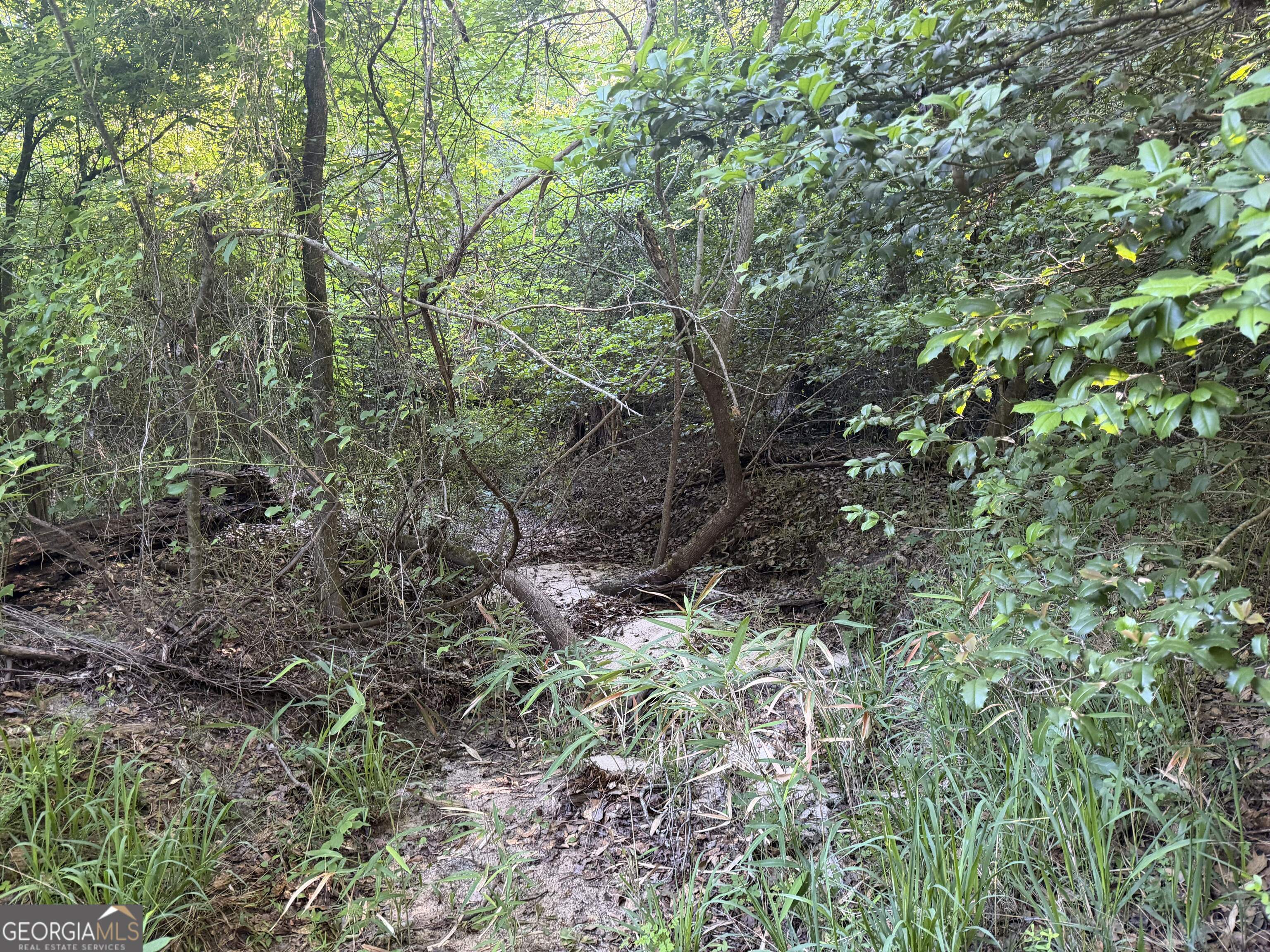 0 Branan Road Toomsboro GA 31090