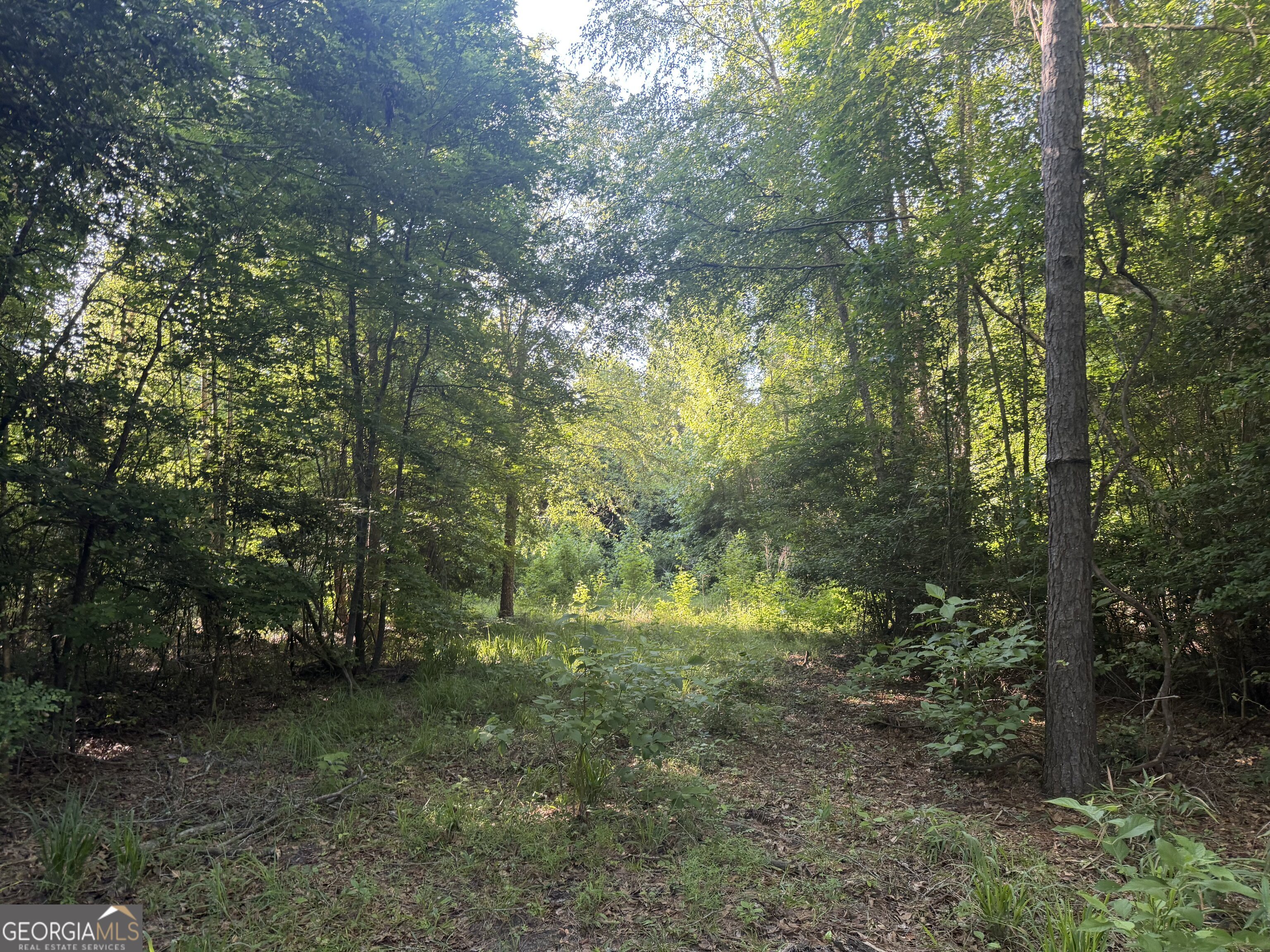 0 Branan Road Toomsboro GA 31090