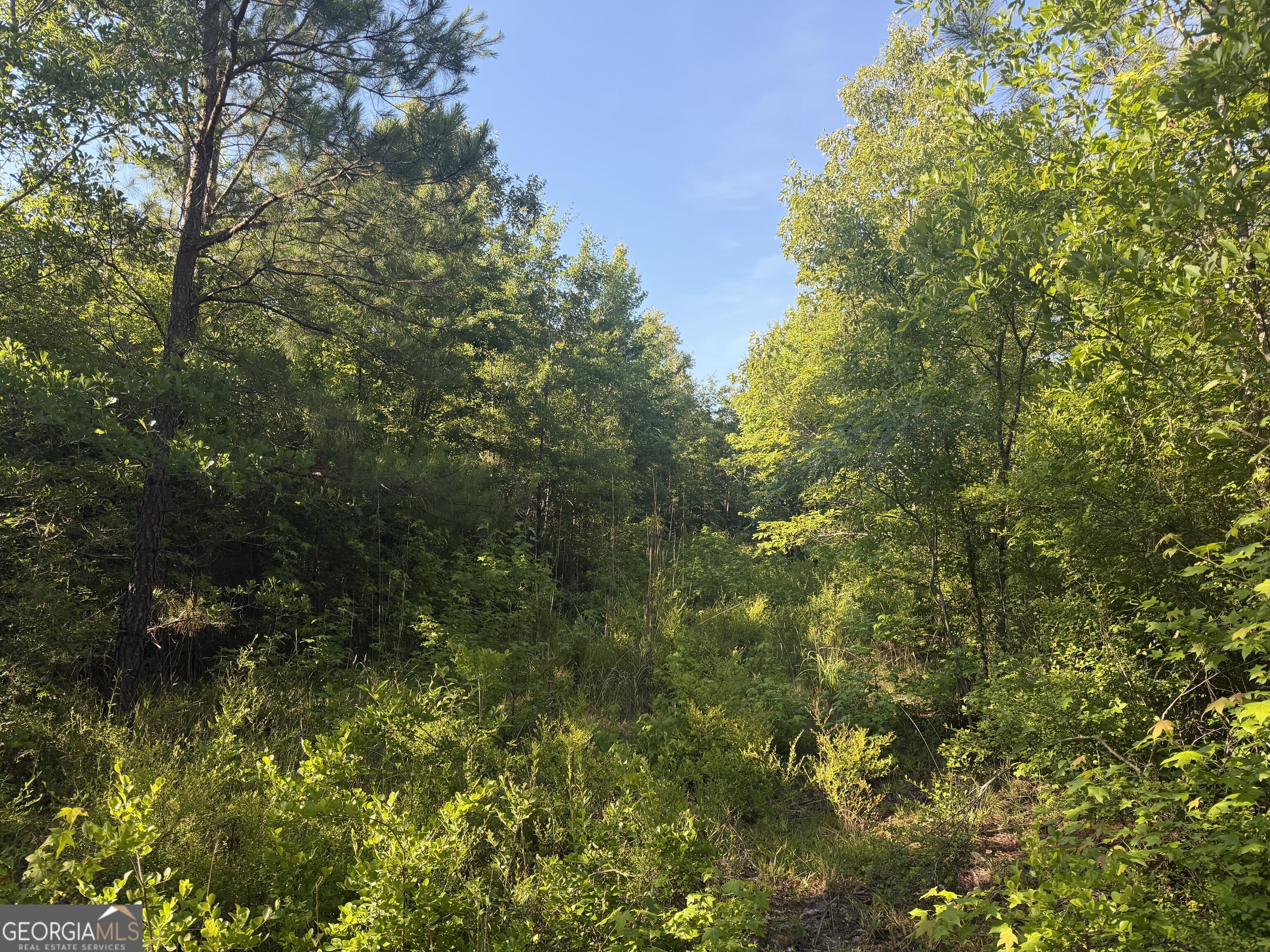 0 Branan Road Toomsboro GA 31090