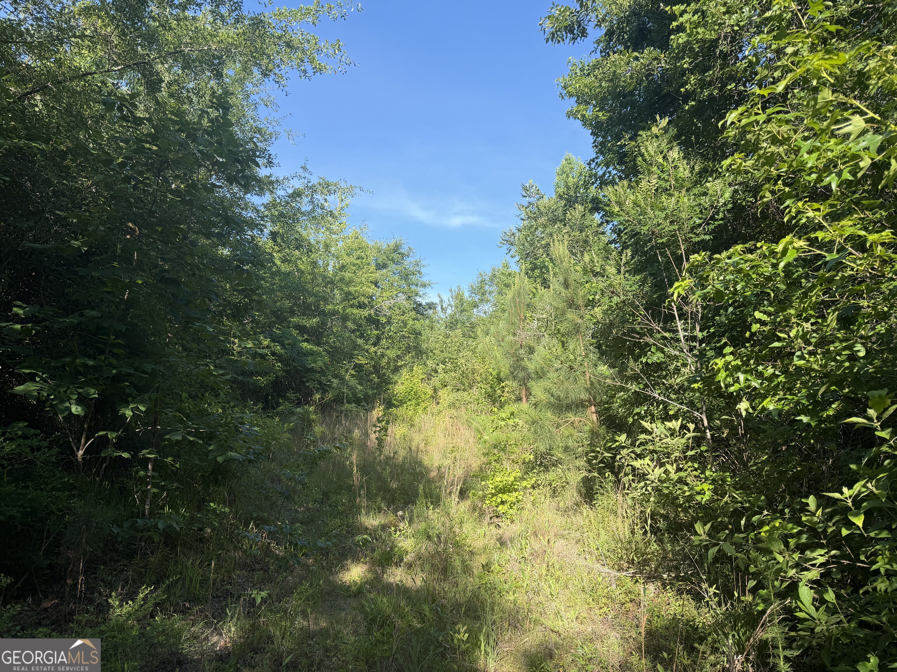 0 Branan Road Toomsboro GA 31090