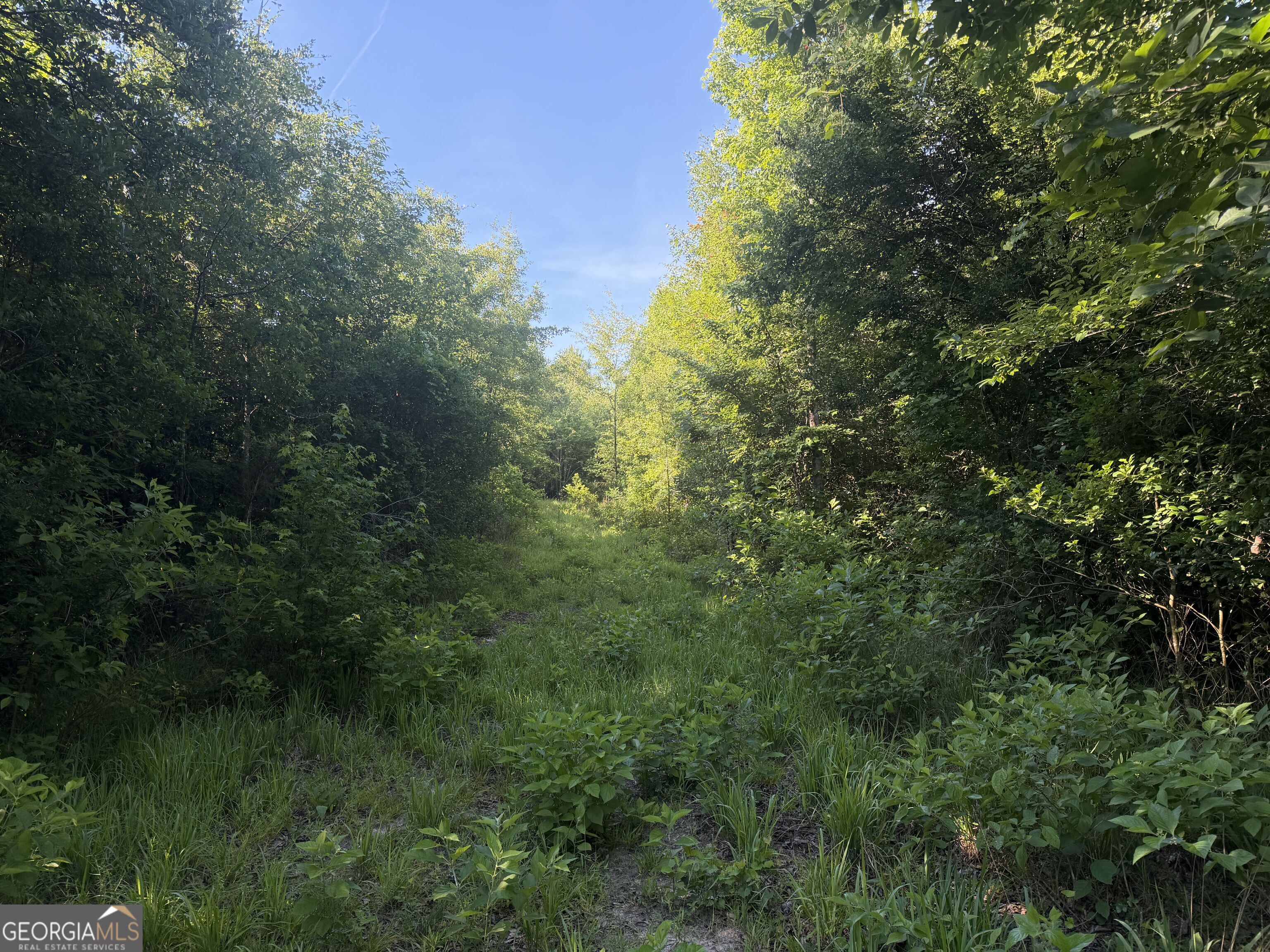 0 Branan Road Toomsboro GA 31090