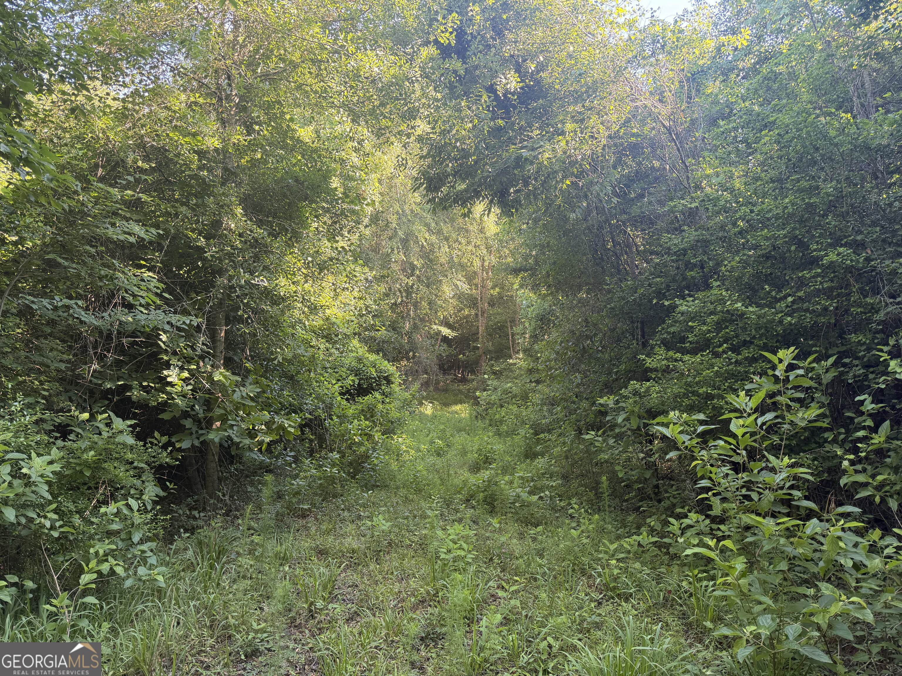 0 Branan Road Toomsboro GA 31090