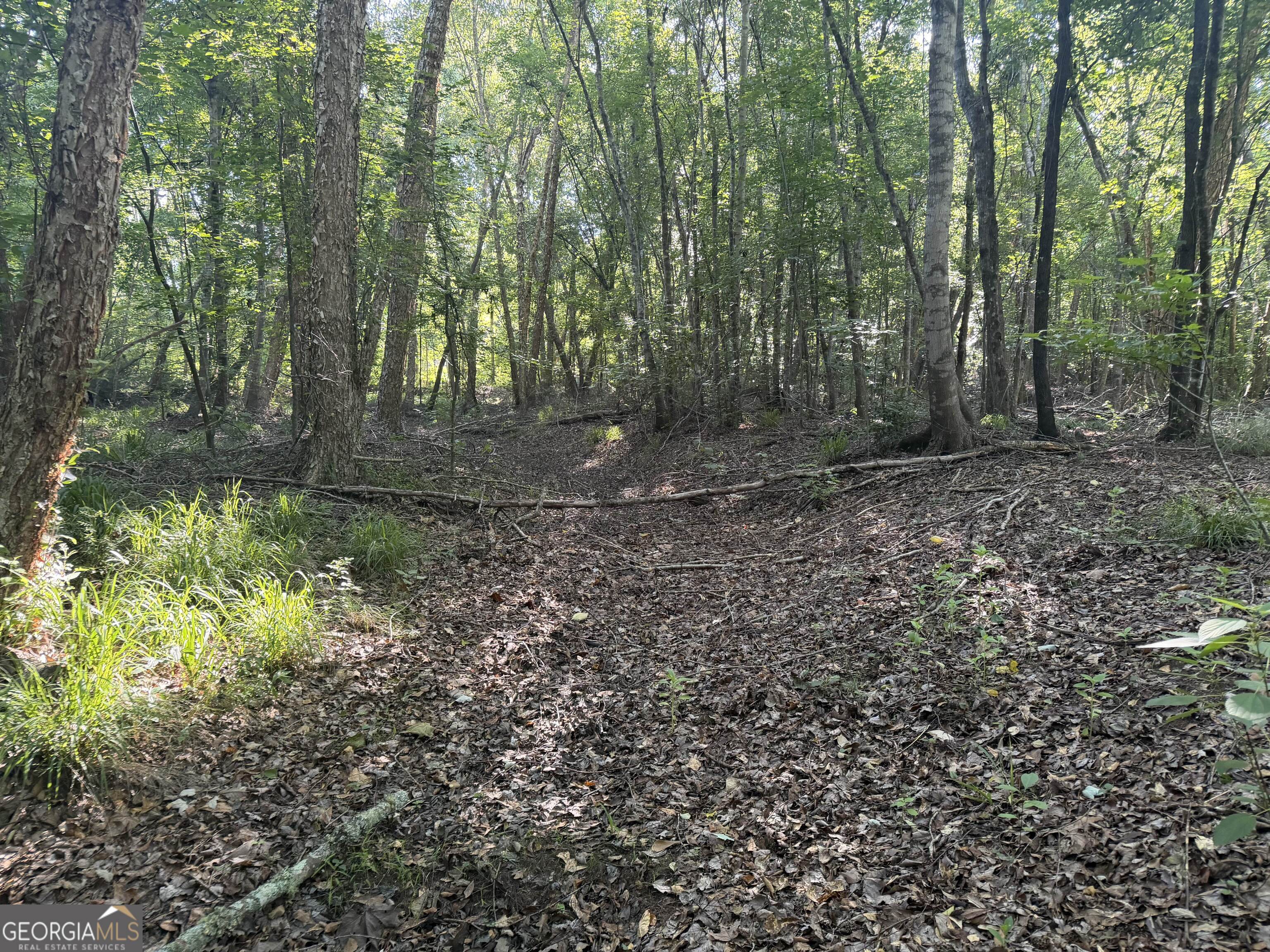 0 Branan Road Toomsboro GA 31090