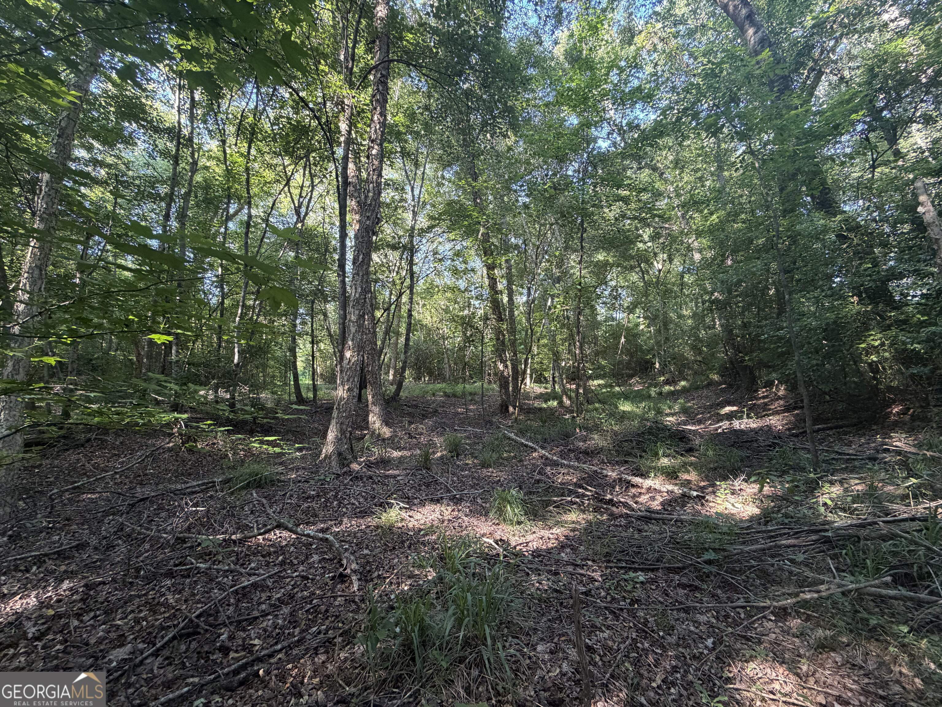 0 Branan Road Toomsboro GA 31090