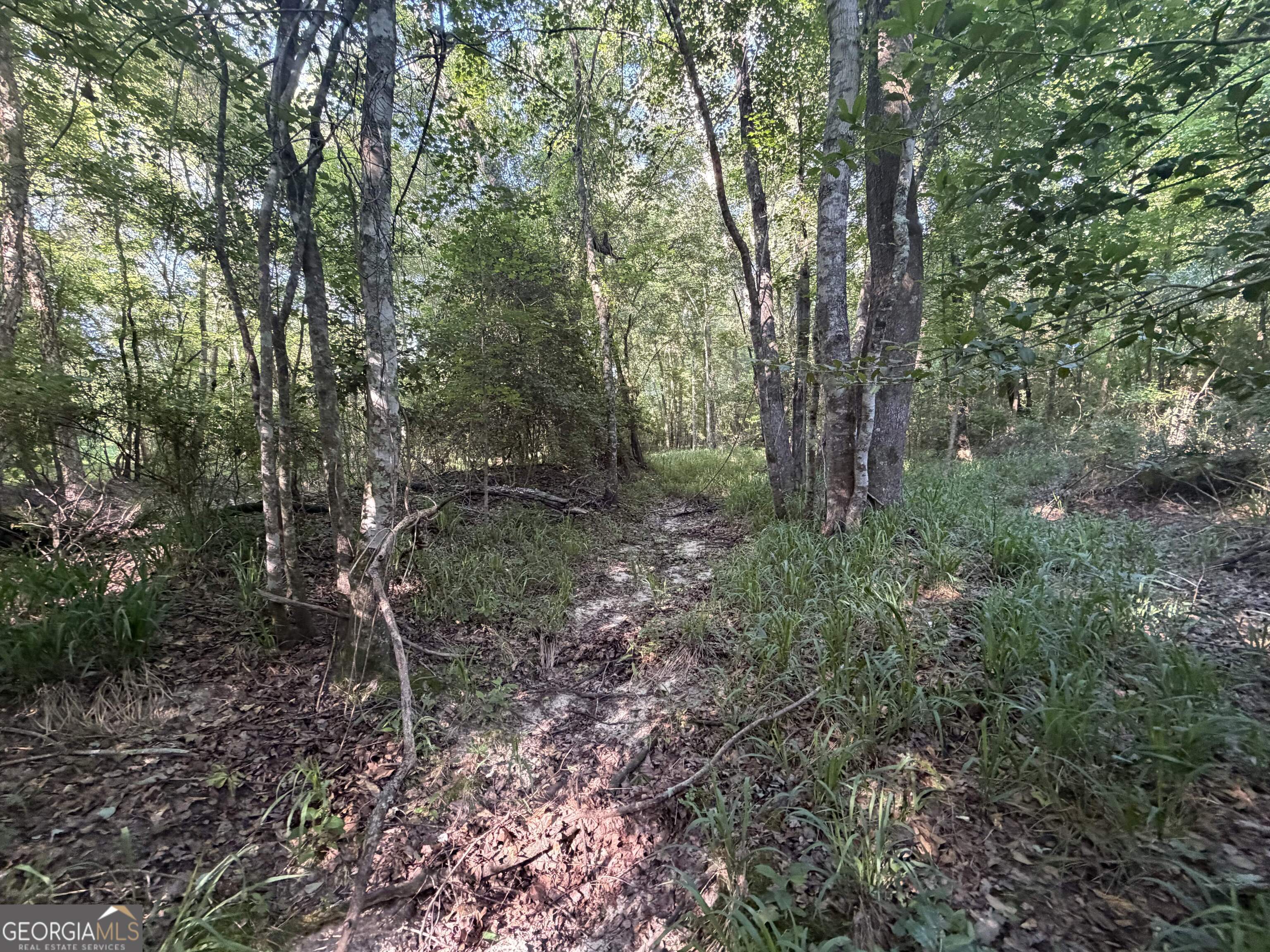 0 Branan Road Toomsboro GA 31090